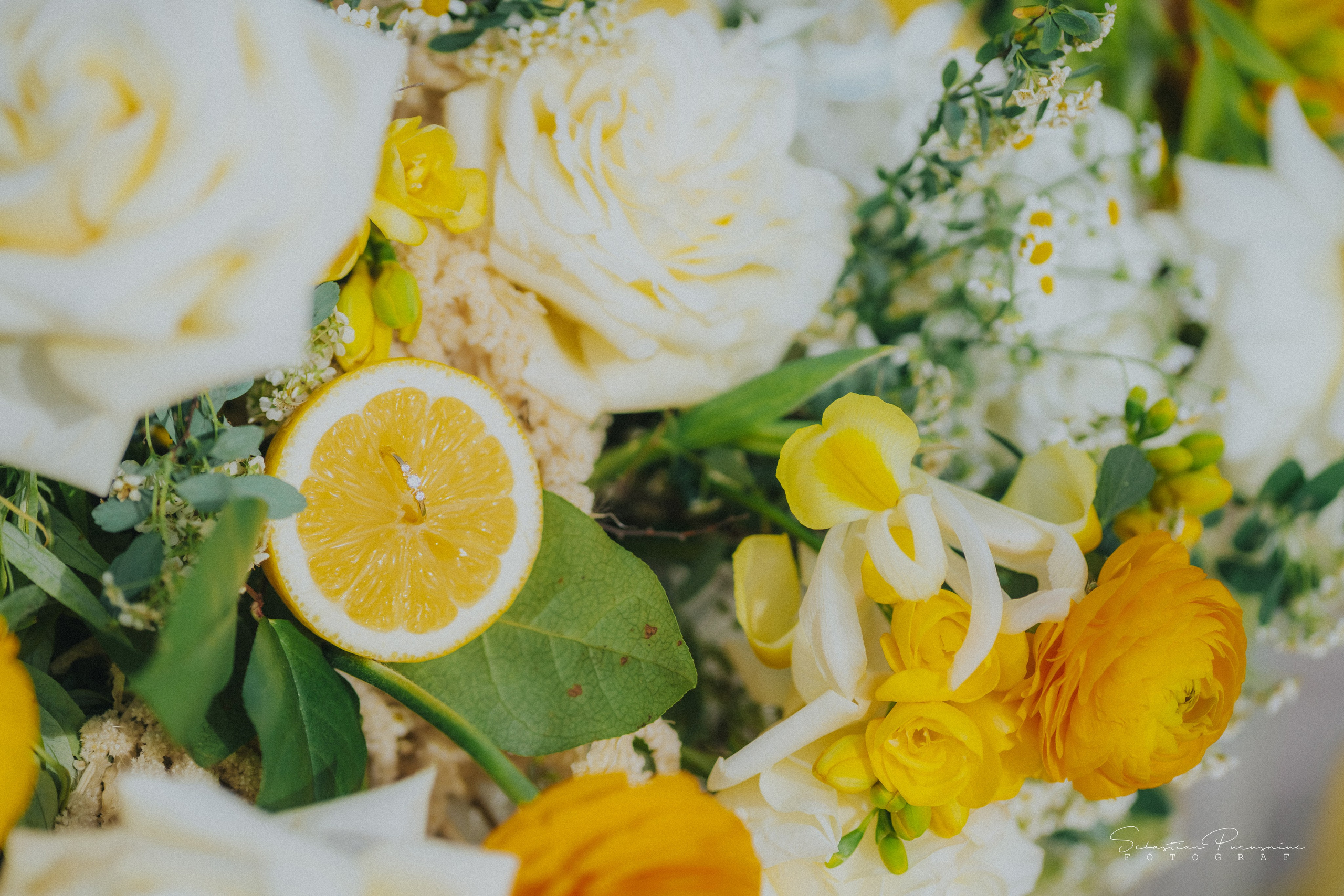 Love & Lemons. Sebastian Purusniuc Fotograf - Iasi