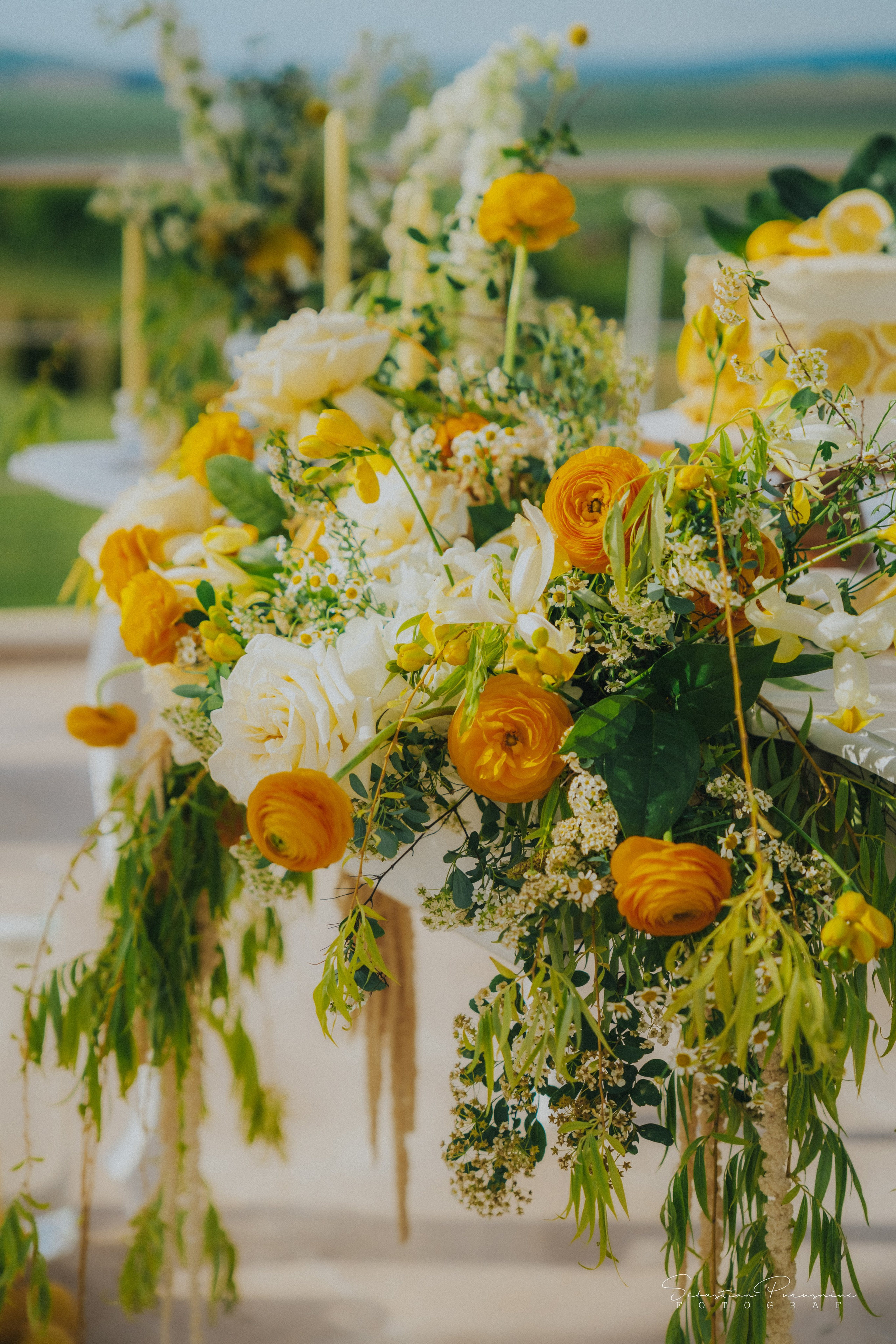 Love & Lemons. Sebastian Purusniuc Fotograf - Iasi