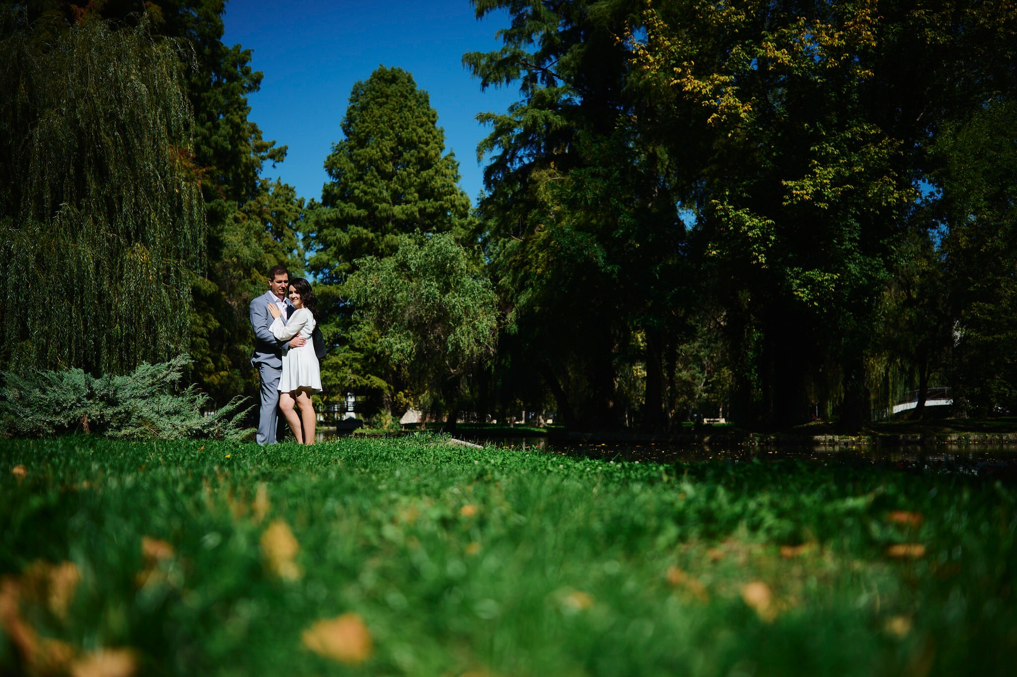 Georgescu Alexandru Fotograf