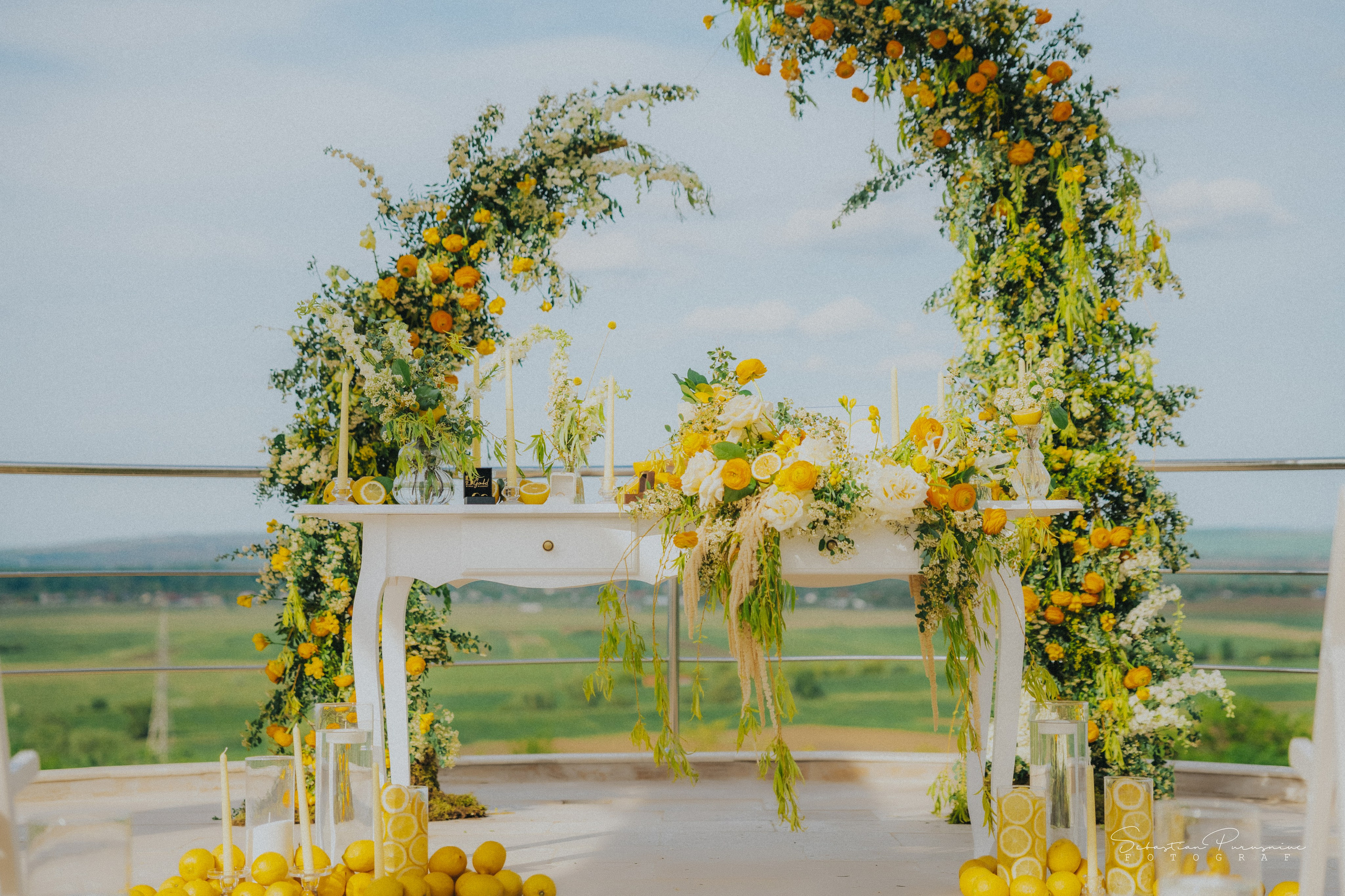 Love & Lemons. Sebastian Purusniuc Fotograf - Iasi