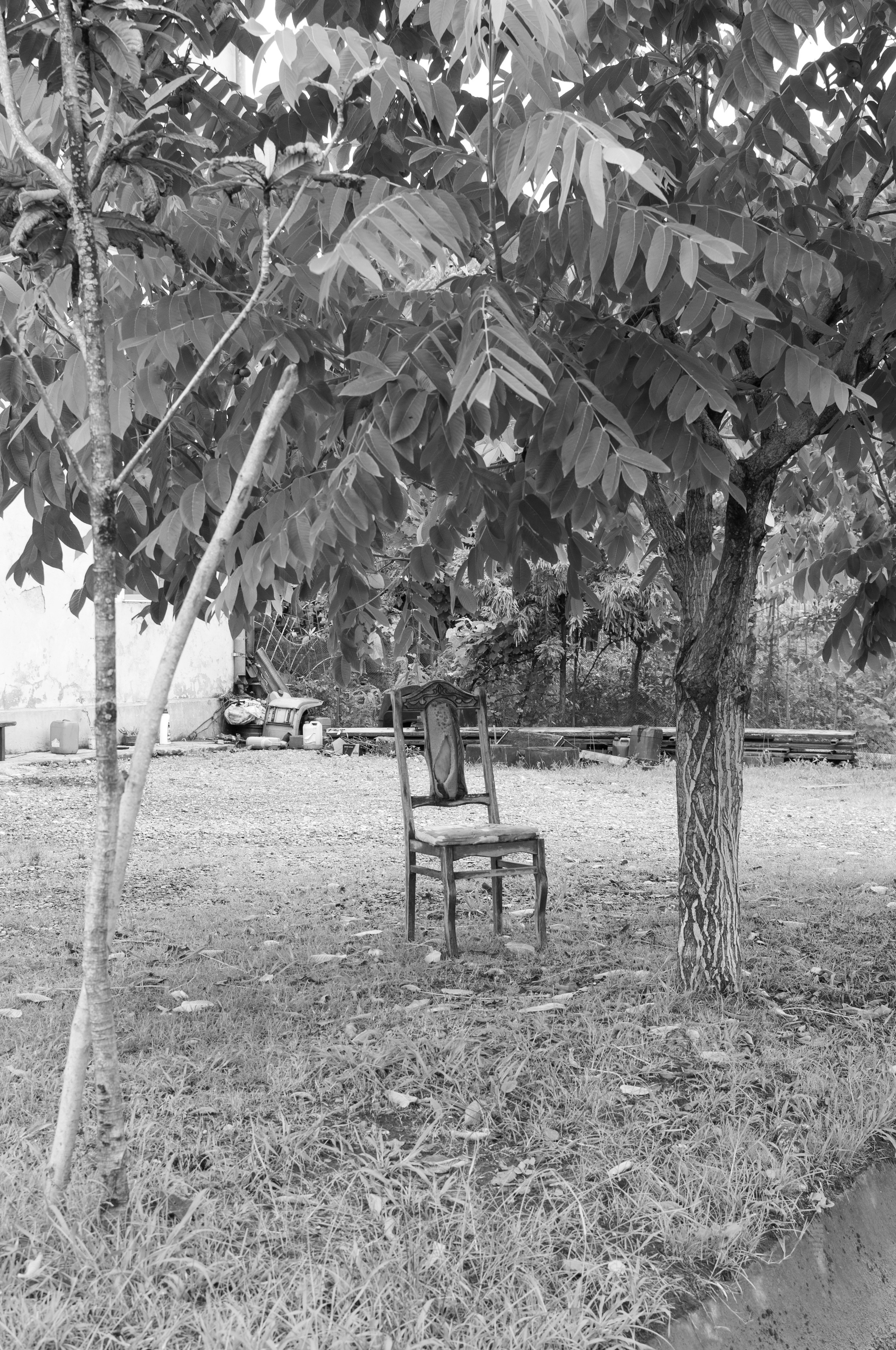 Under the Phasis' Sun. Mayya Kelova artist