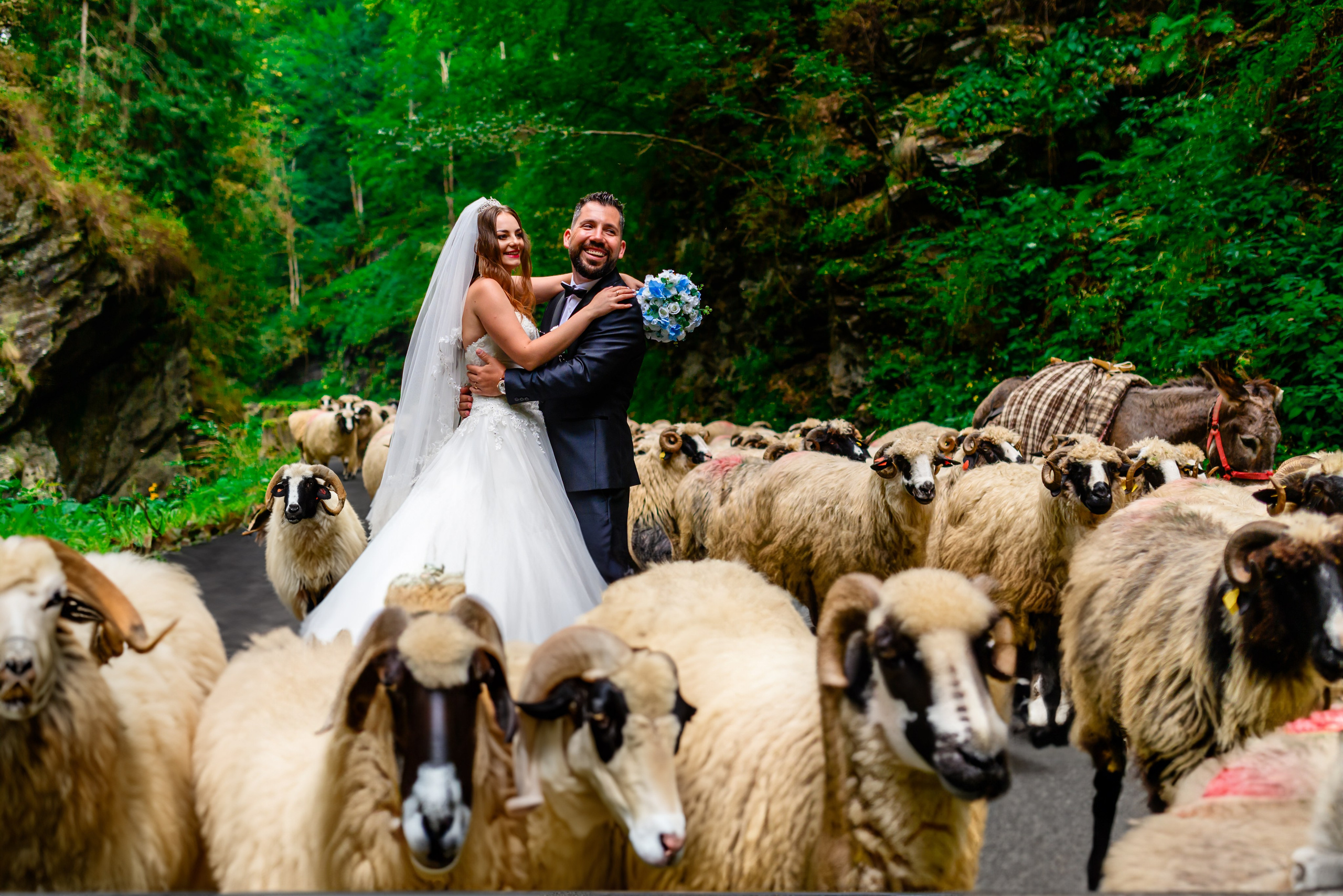 Galerie foto. Cătălin Lazăr Photography — Fotografie de nuntă și evenimente premium în România și Europa