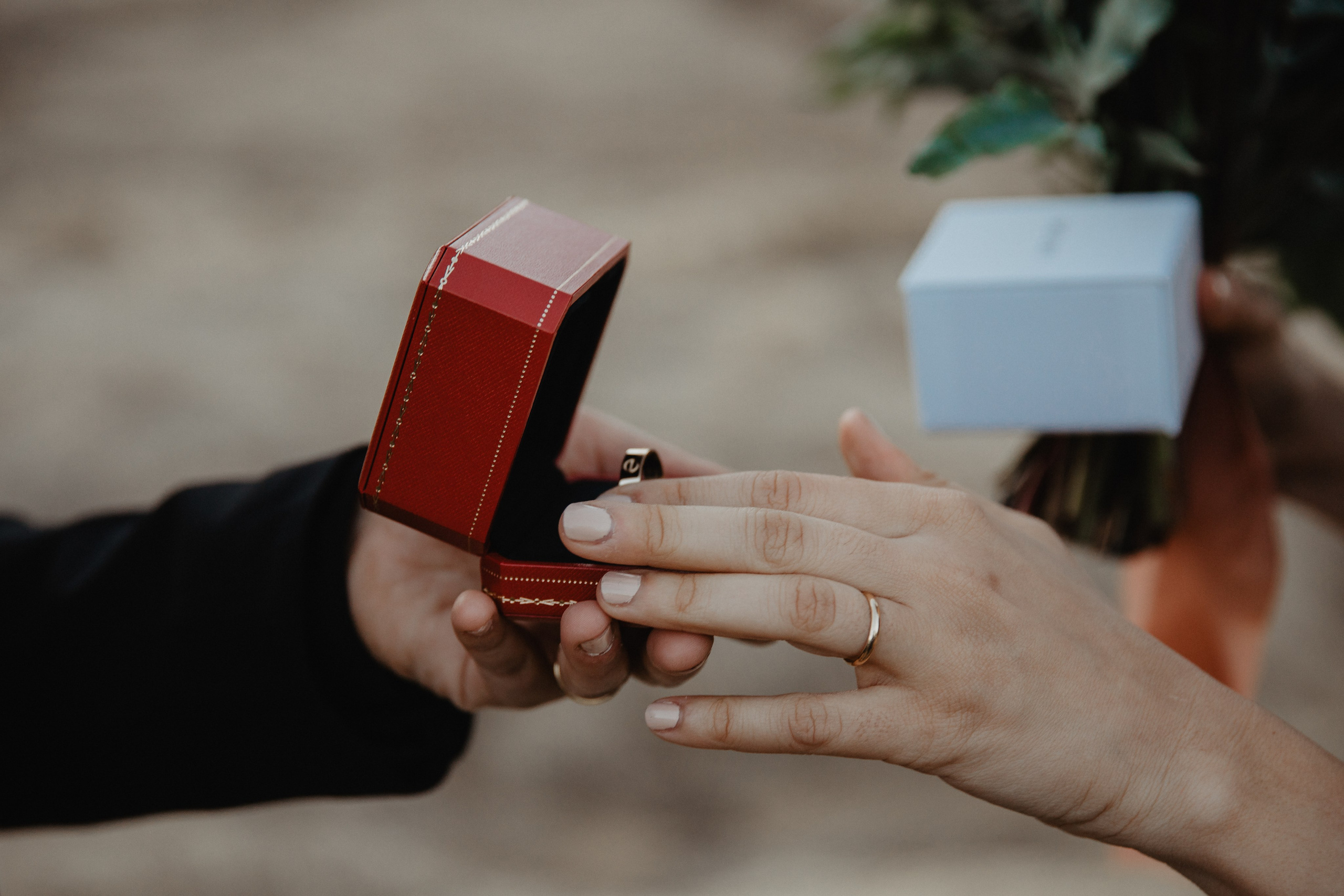 Same Sex Wedding at Iceland Black Sand Beach. Iceland elopement photographer & videographer