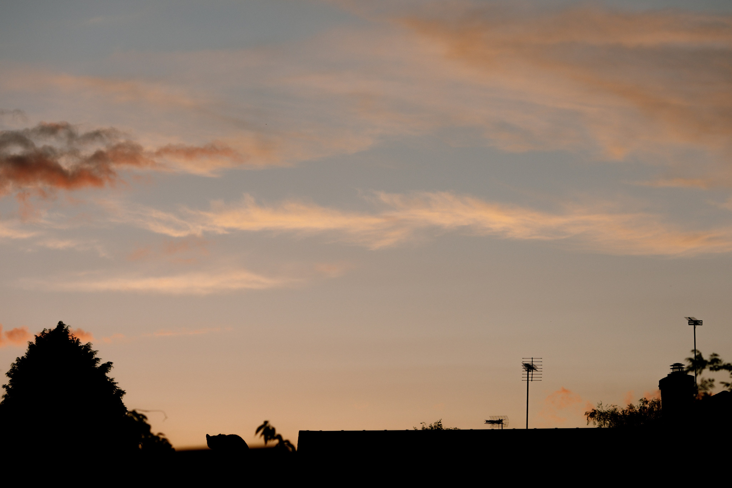 Intimate and emotional wedding. Timeless Wedding & Event Photography — based London, working across Europe