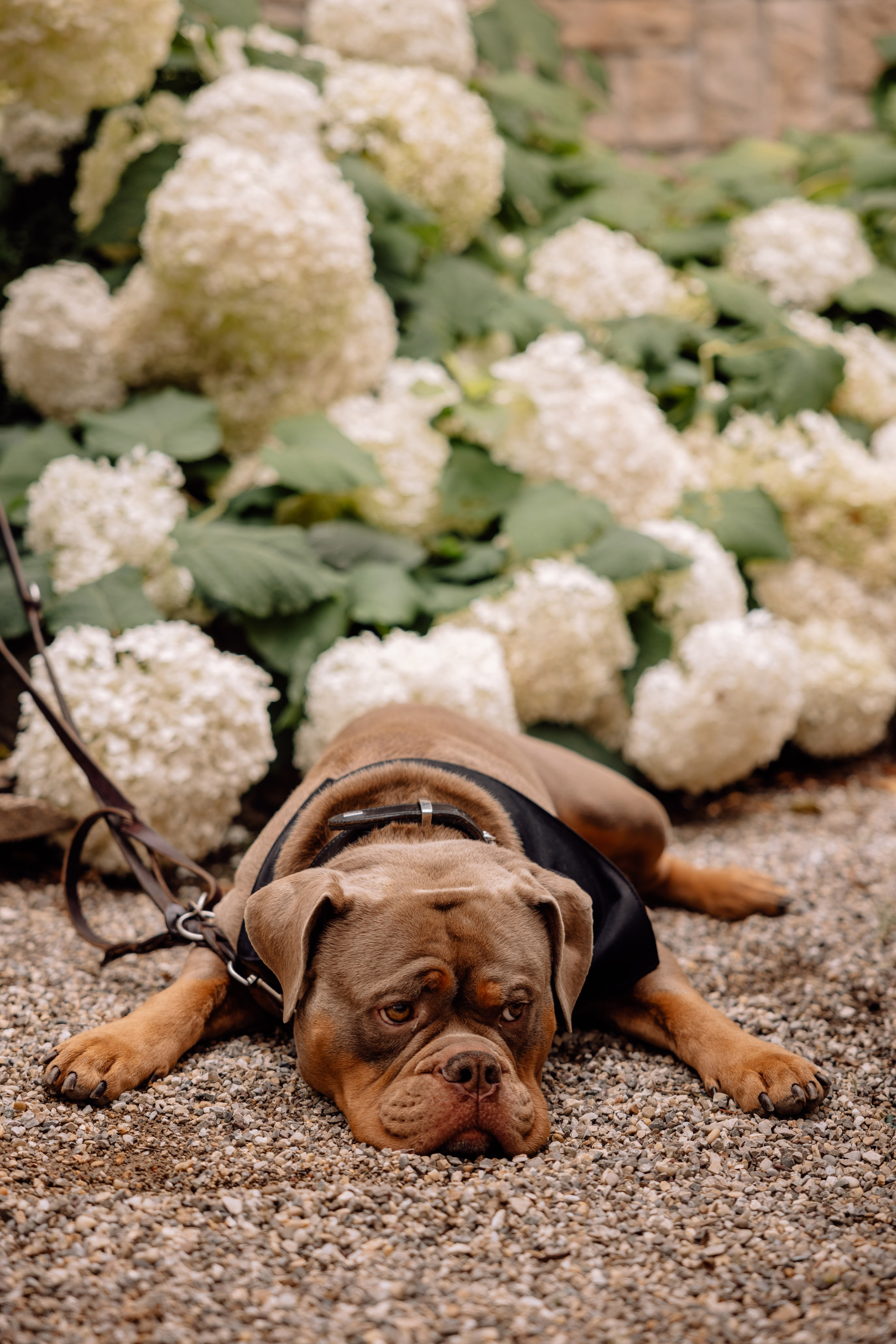 Hauptalbum. Hochzeitsfotograf München Taufe Familienfotograf Tanja Mauke