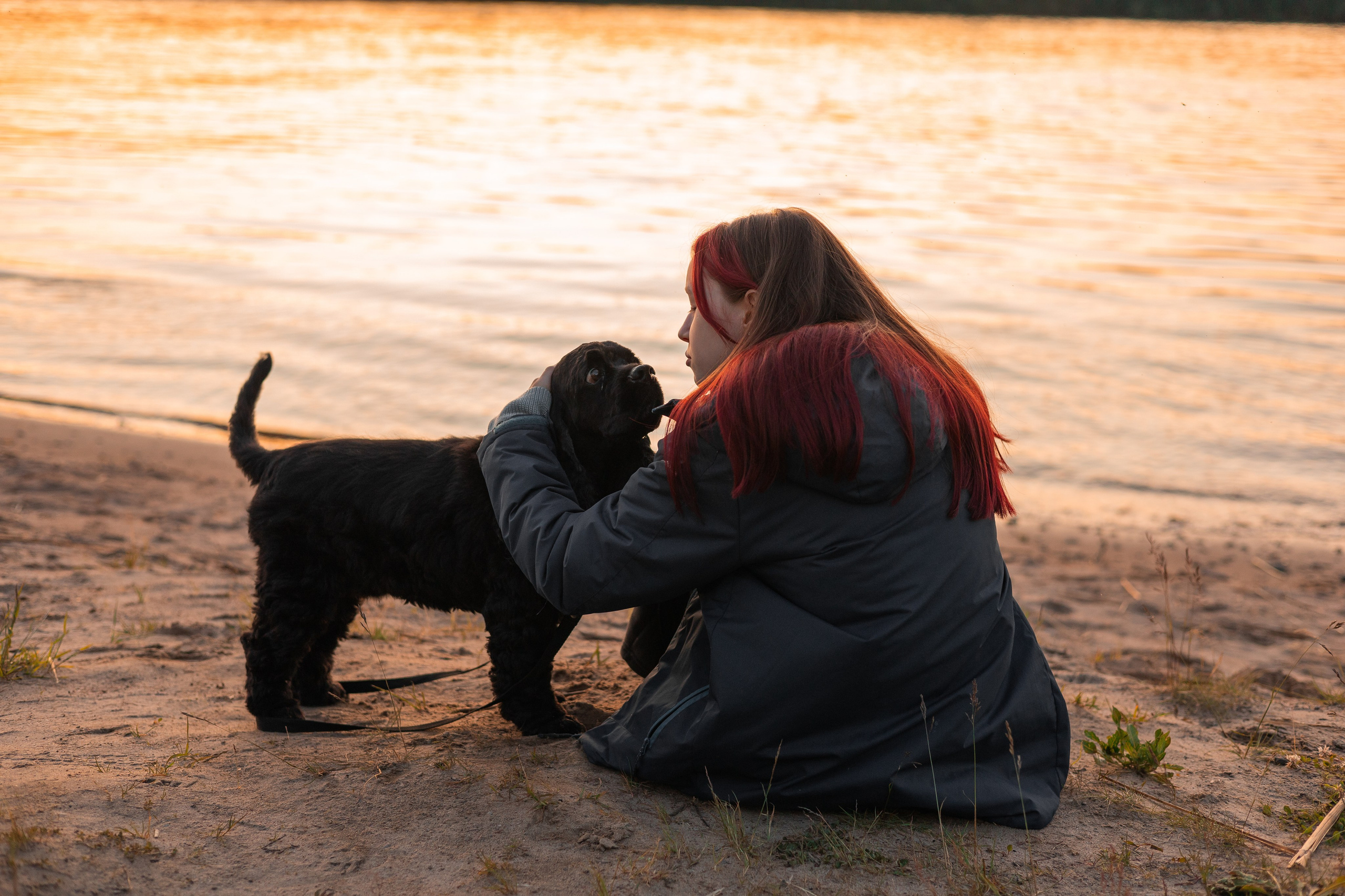 Фотограф-анималист | Белград