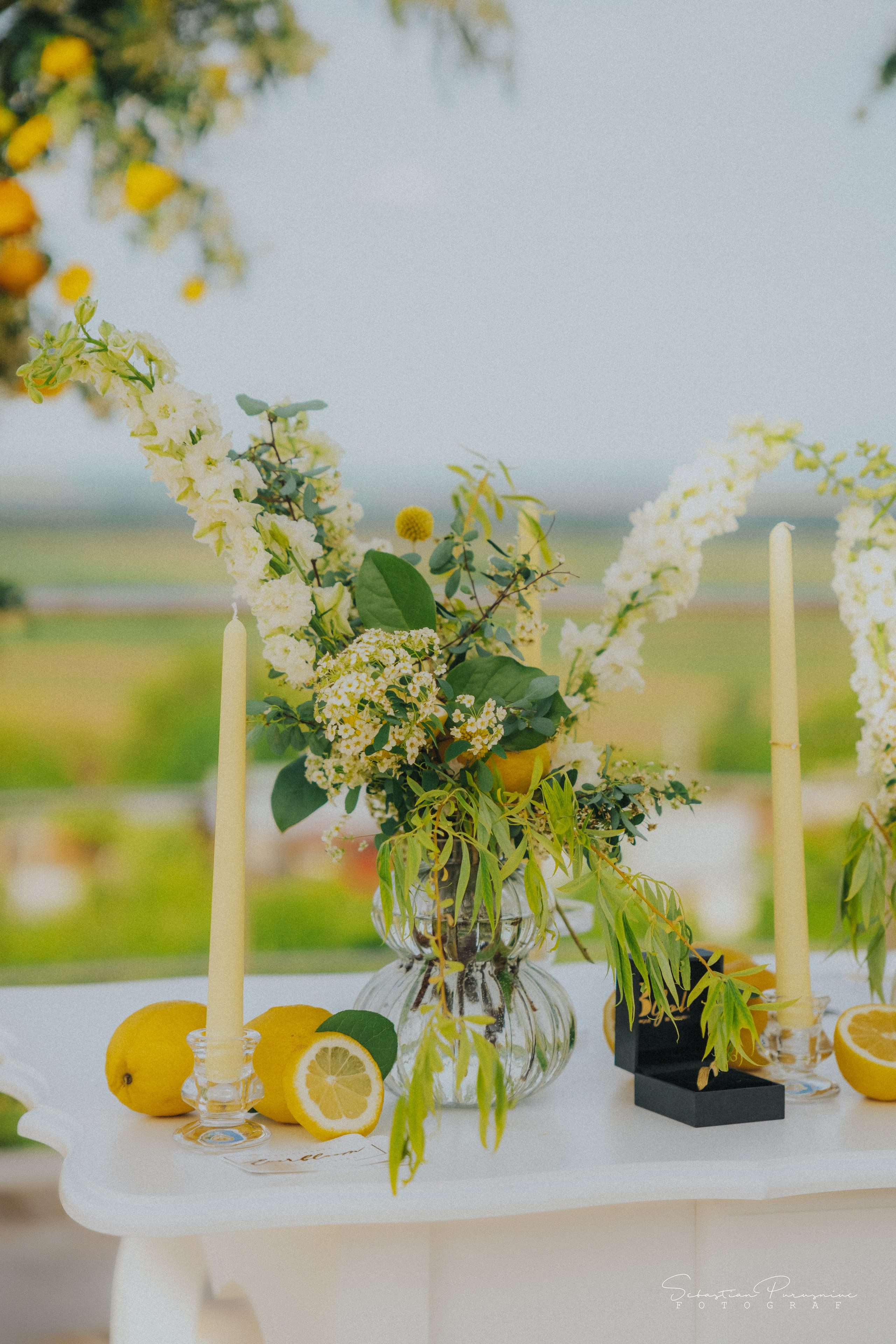 Love & Lemons. Sebastian Purusniuc Fotograf - Iasi