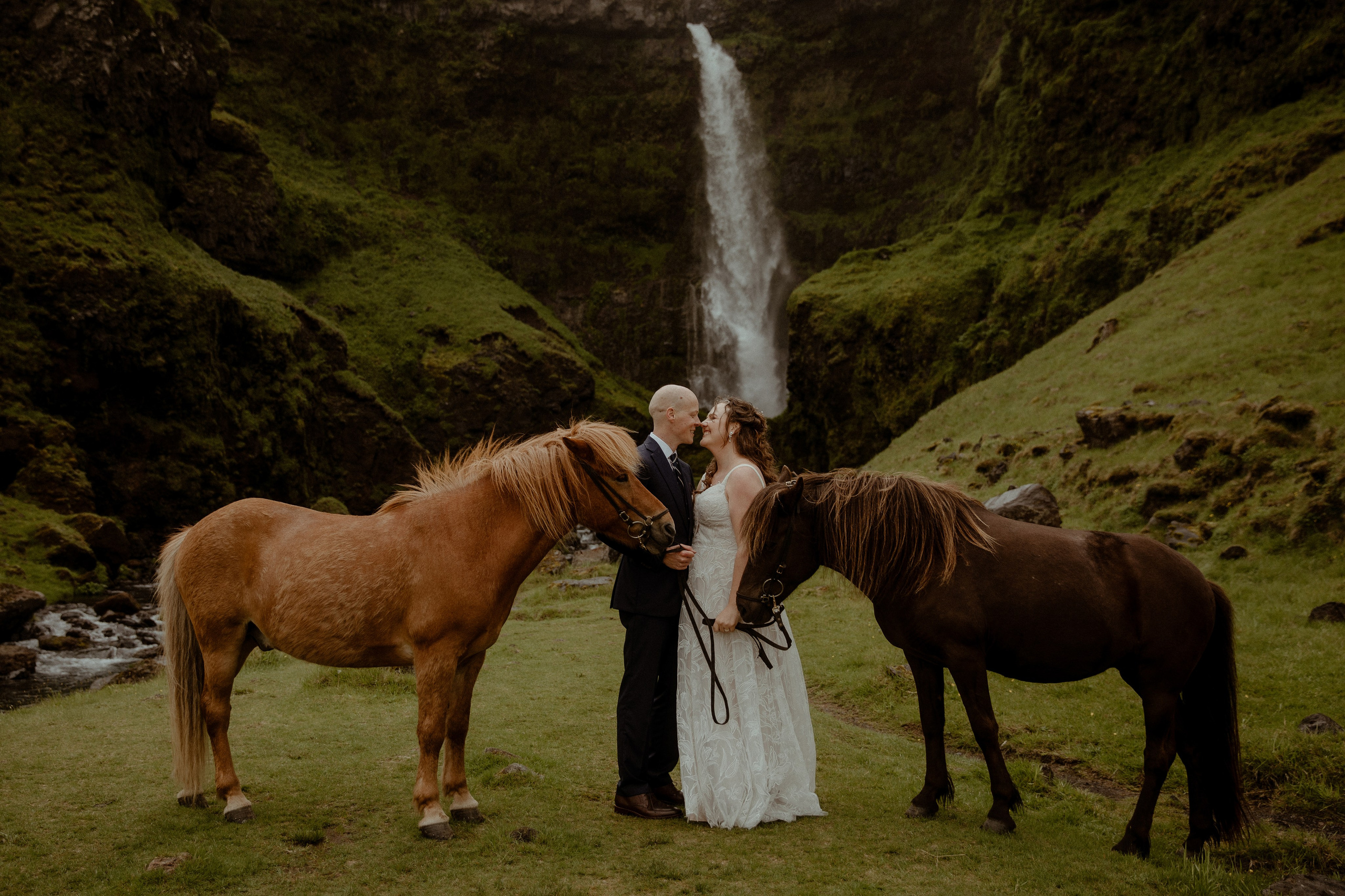 Iceland Elopement at Black Sand Beach. Iceland elopement photo and video | Nikolaichik Photo
