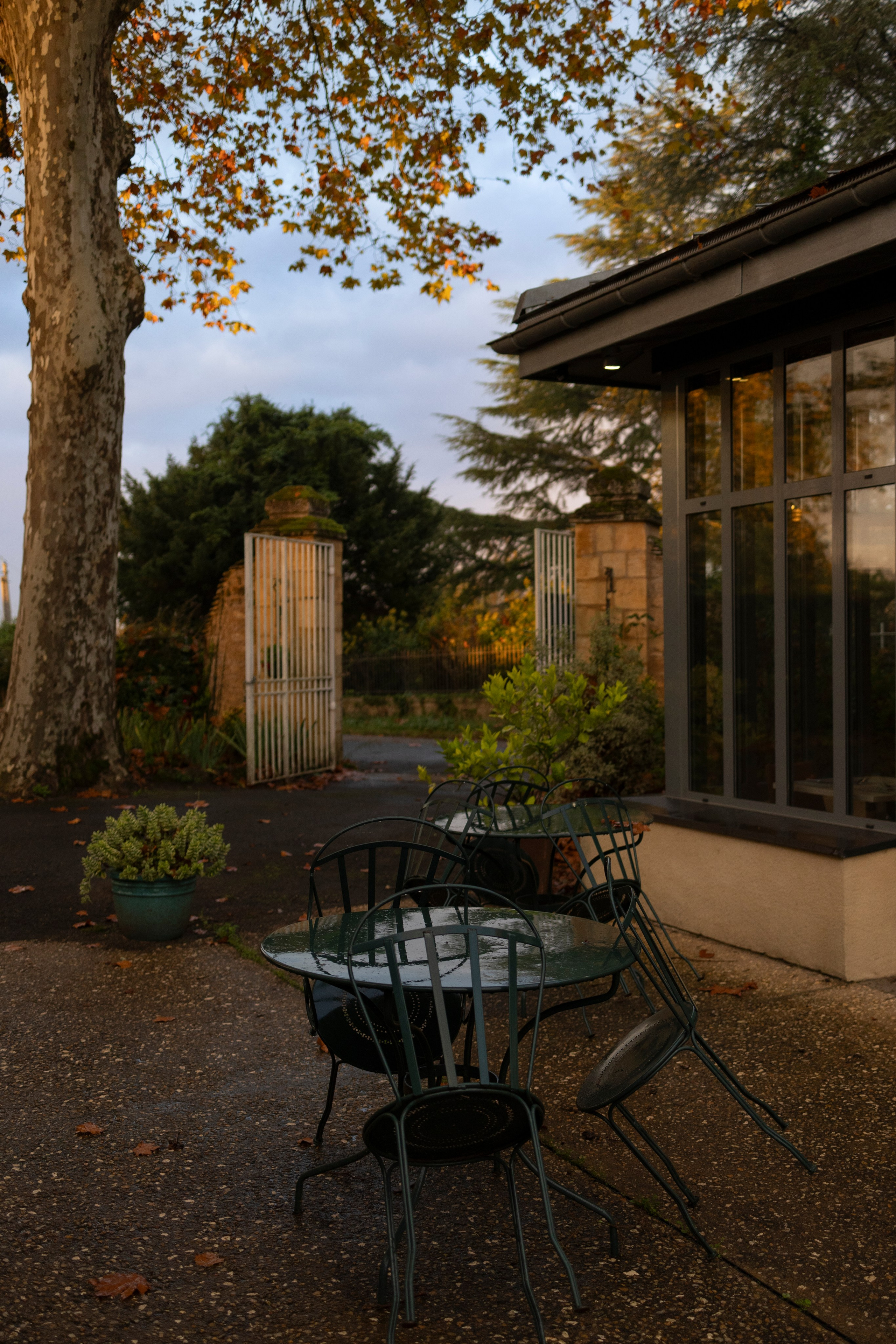 Осенние каникулы 2024 в департаменте Дордонь, Франция. Евгения Смирнова — фотограф в Тулузе и юго-западной Франции