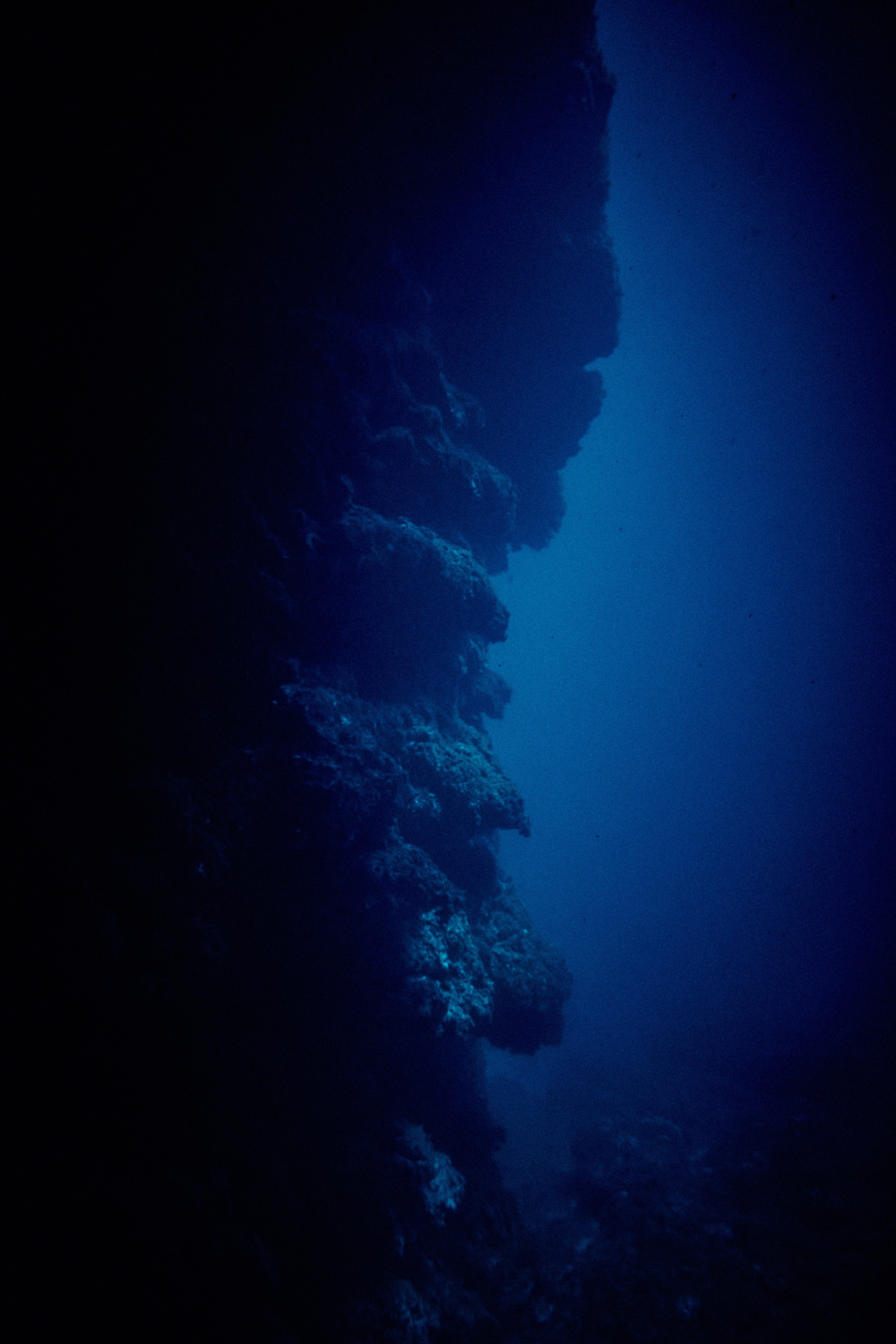 Podwodny fotograf - Andriej Szypilow - underwater photography. Tajemnica - wielka, głęboka i wszechobecna - to jest ta jakość, której przede wszystkim szukam w fotografii podwodnej...