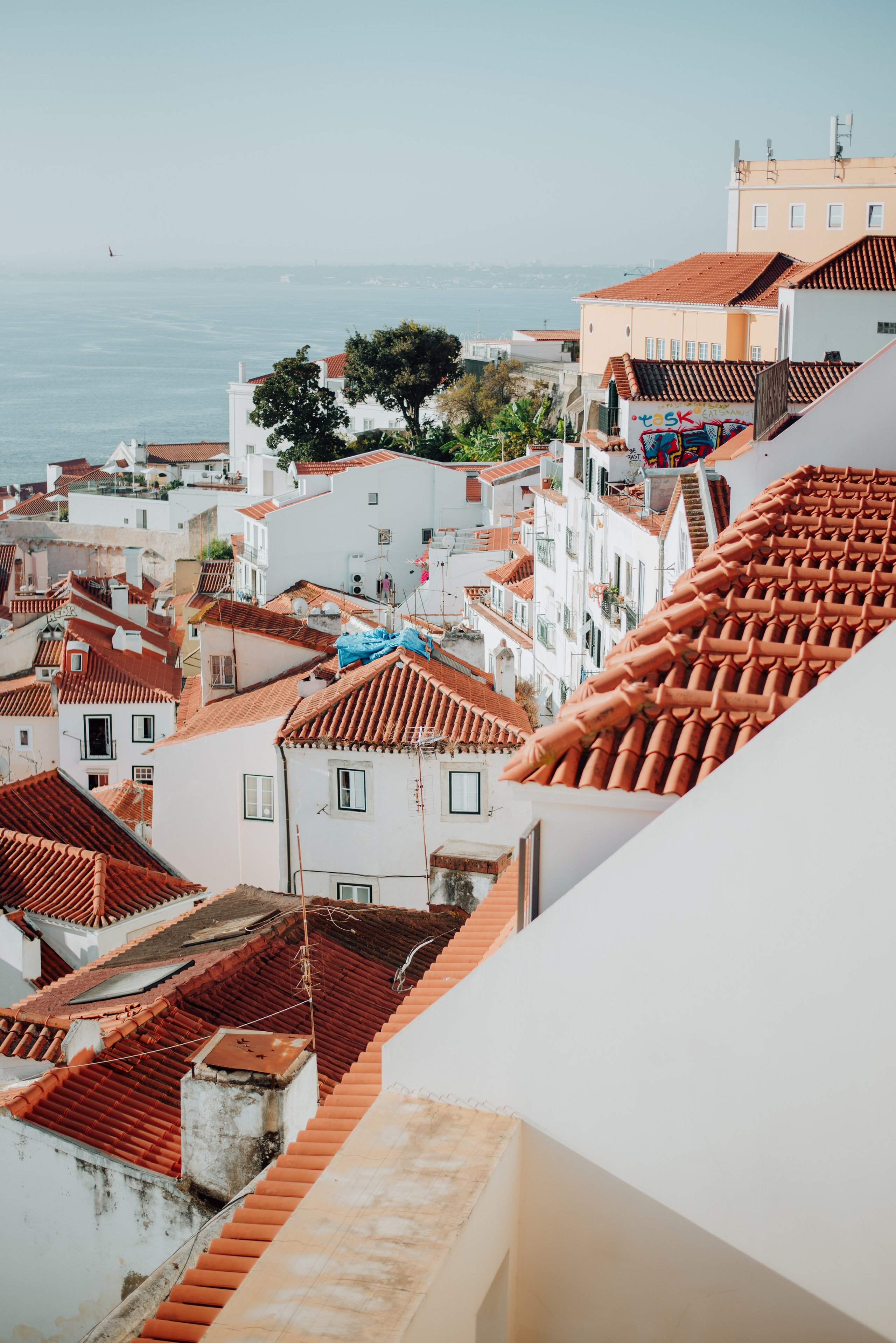 Jógový pobyt v Portugalsku 2024. Mateřství. Nevýchova. Život v souladu s přírodou. Jóga