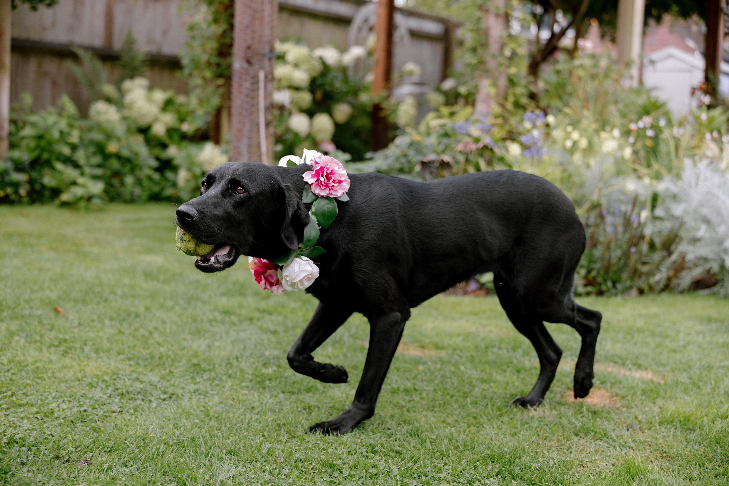 Intimate and emotional wedding. Timeless Wedding & Event Photography — based London, working across Europe