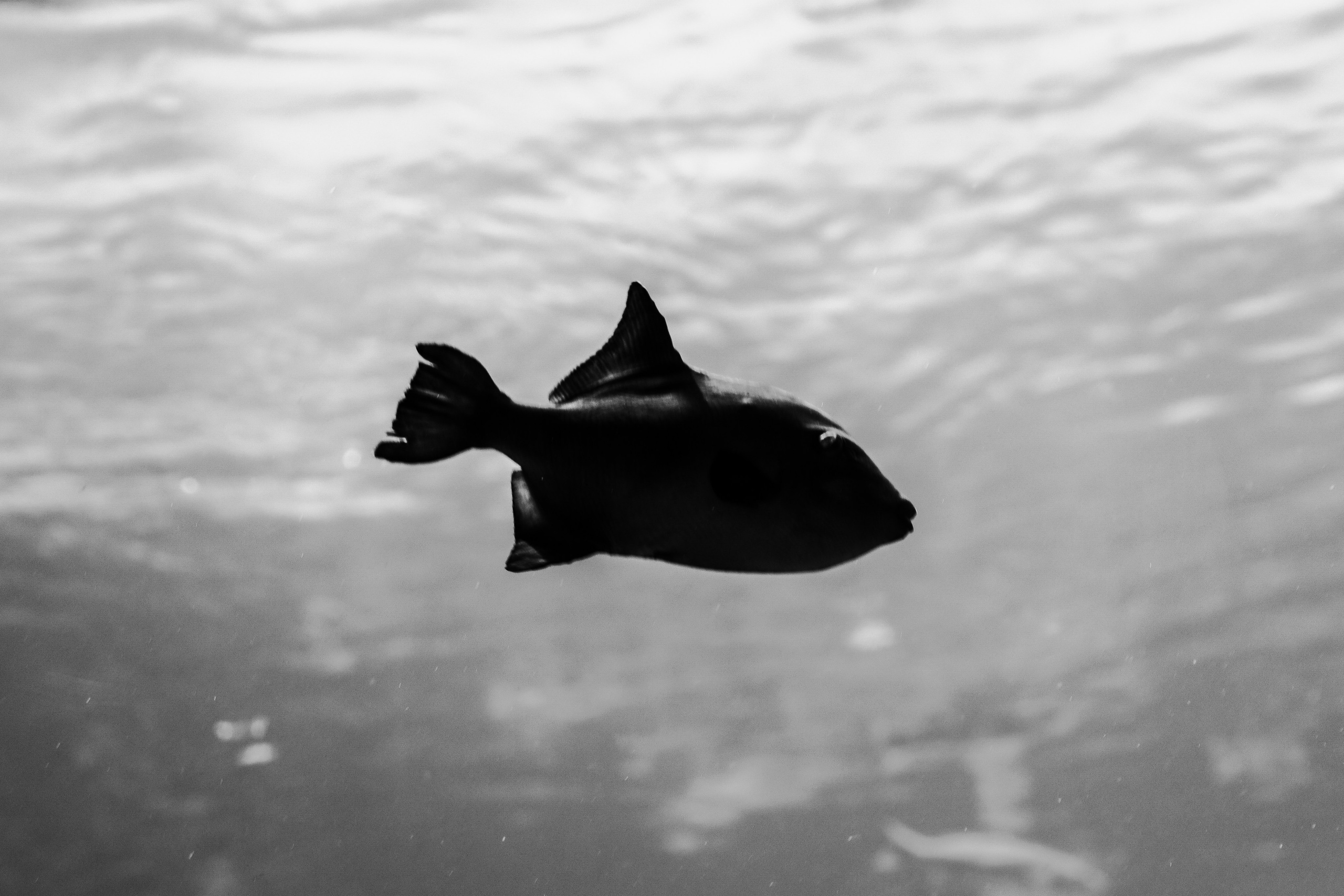 Film. Lifestyle & Documentary Photography in Bristol, Bath & London — def0cused