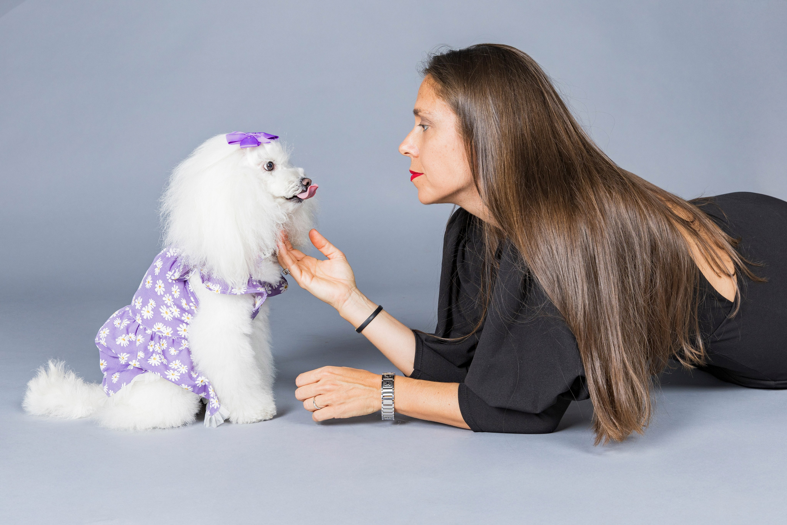 Fotografía de Mascotas en Madrid - Rainbox. Rainbox Estudio de Fotografía