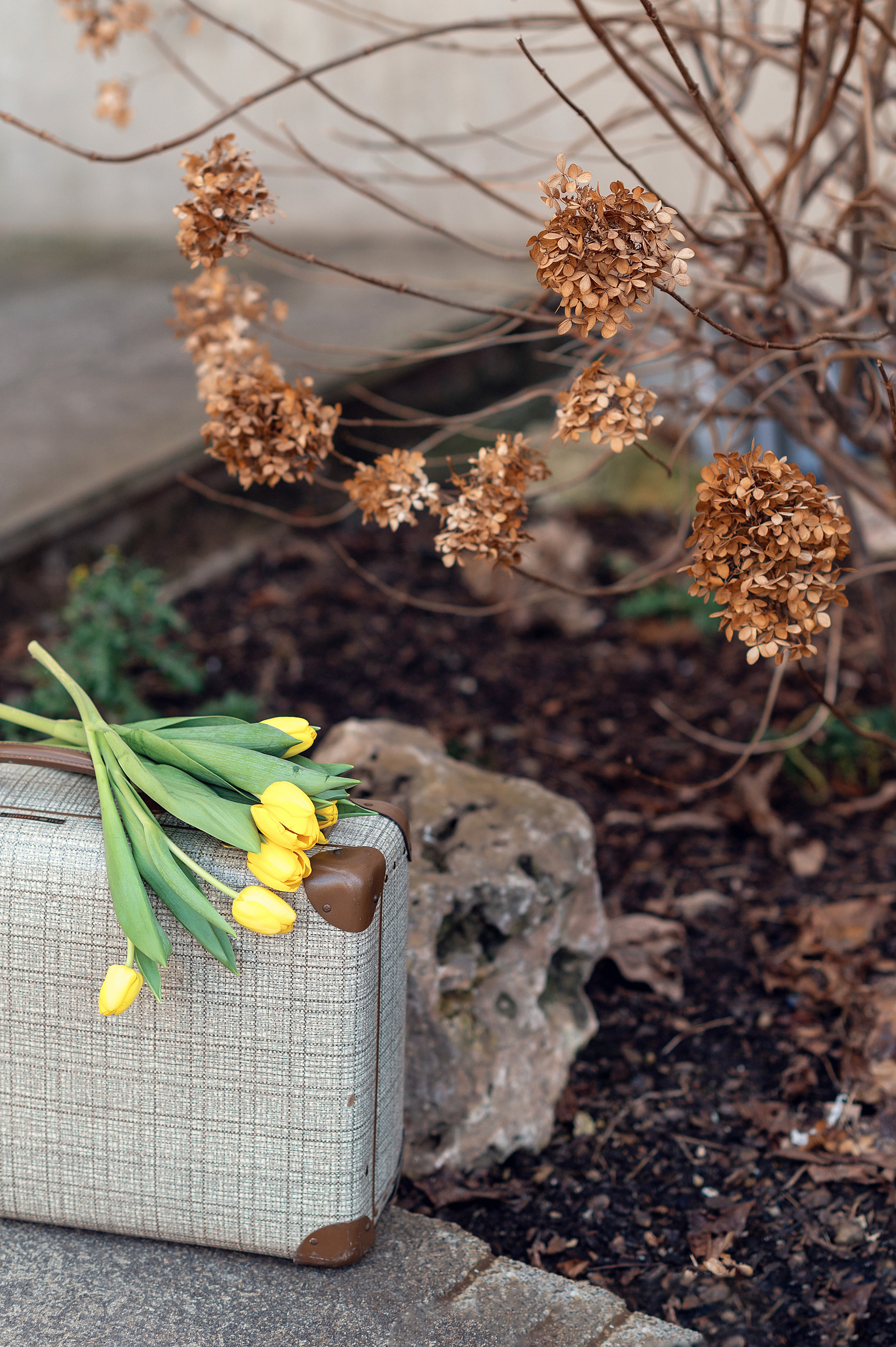 Kindershooting, ulmfotograf, ulmshooting, kinderfotografulm. Newbornfotograf Kinderfotograf Ulm Familienfotograf Anastasia Neu-Ulm
