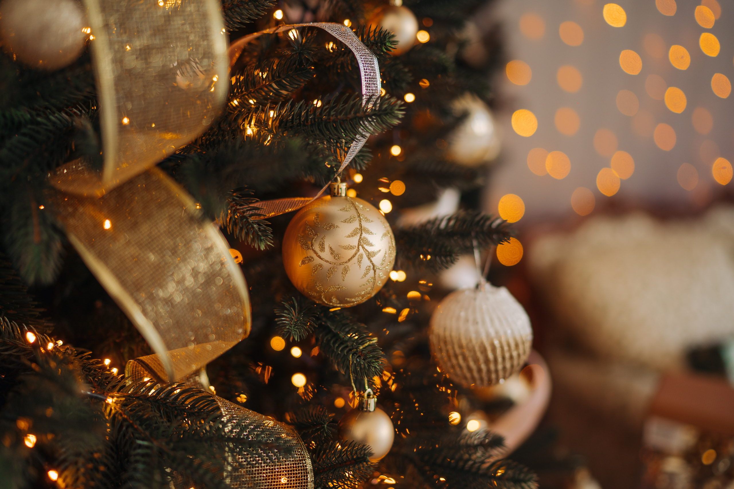 Ședința foto de Crăciun. Diana Muntean Photography