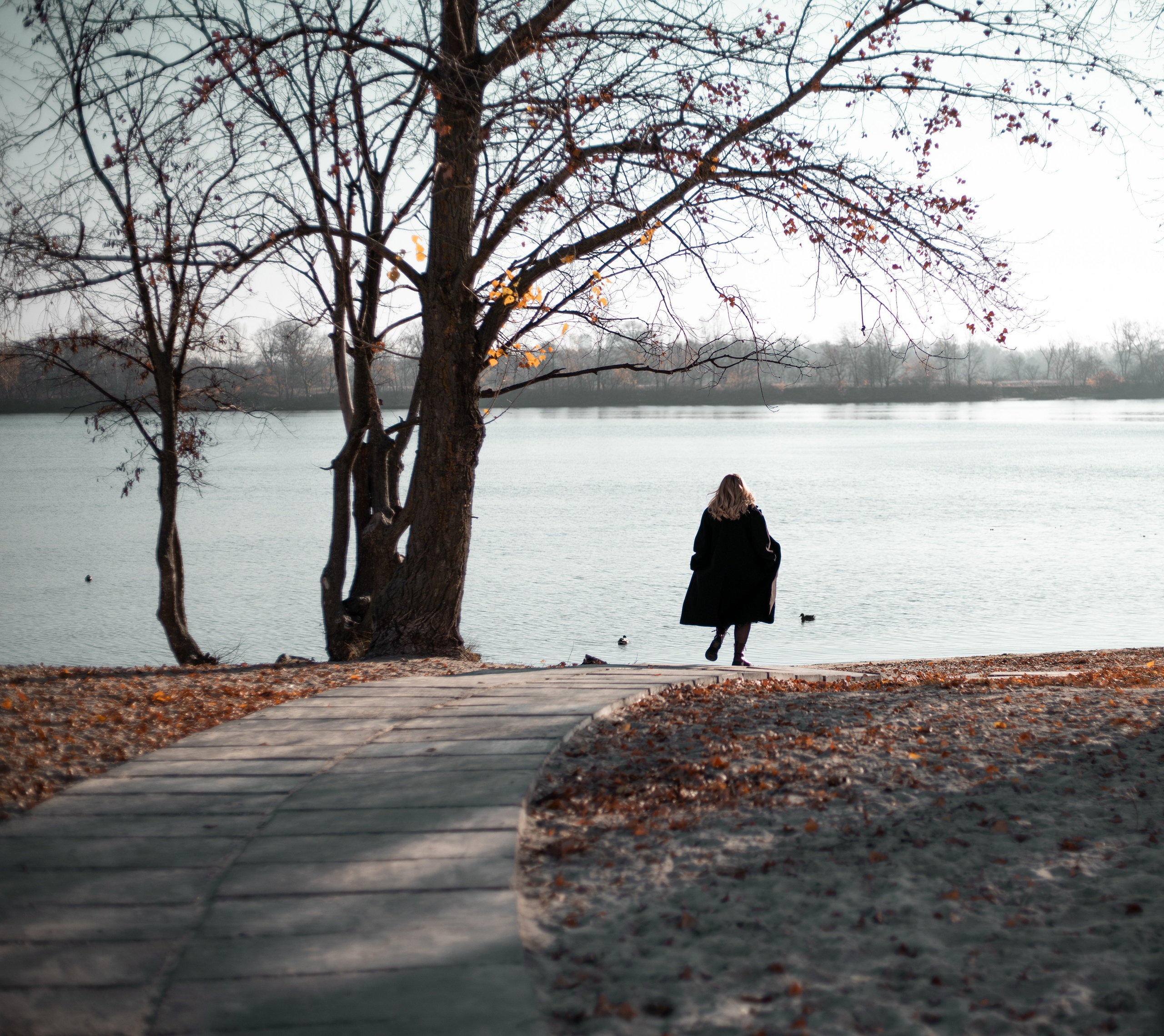 Histoires d’amour, séances photos de famille et de mariage en France