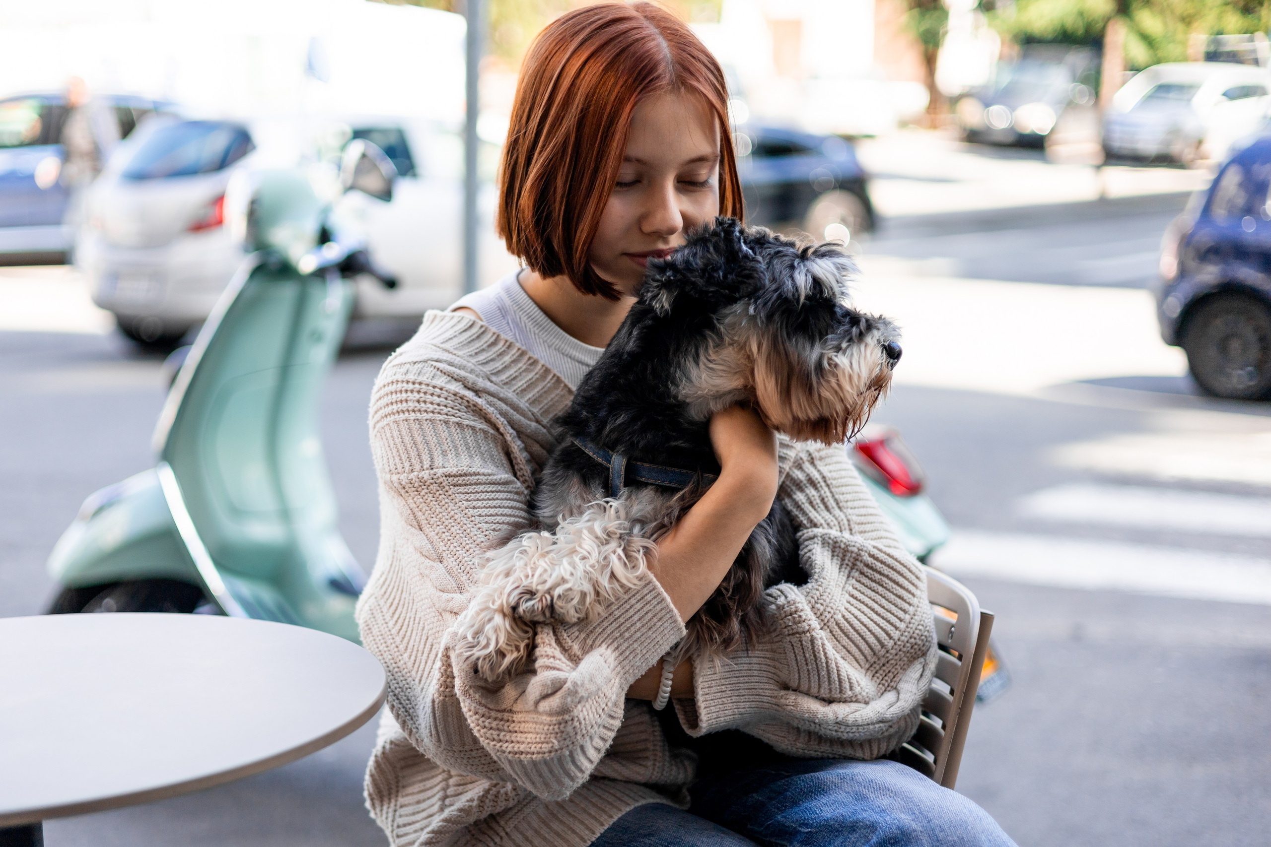 Фотограф-анималист | Белград