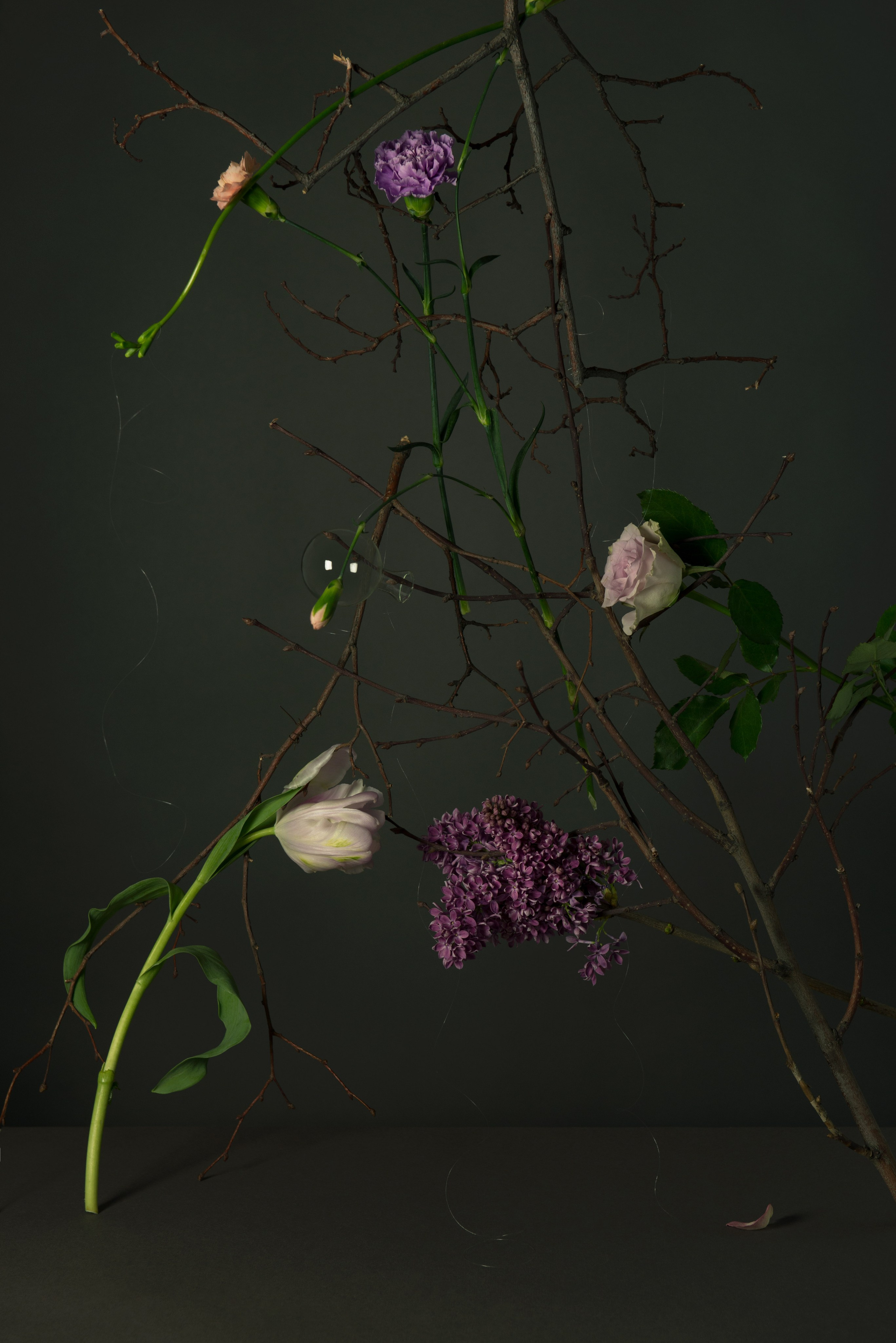 Narcissists 2017. Photographe de produits et natures mortes à Paris