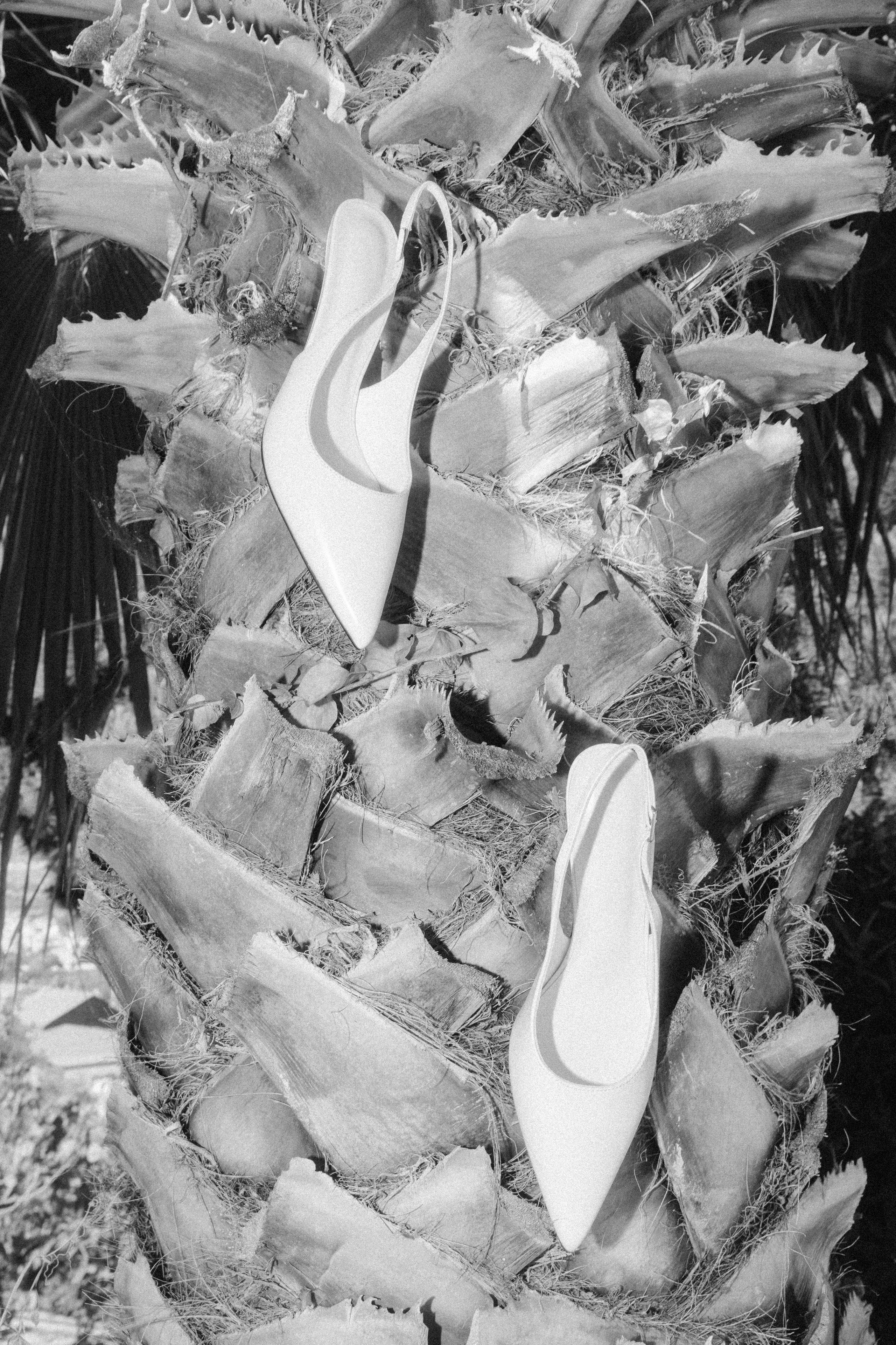 Paola wedding photographer / videographer in Barcelona