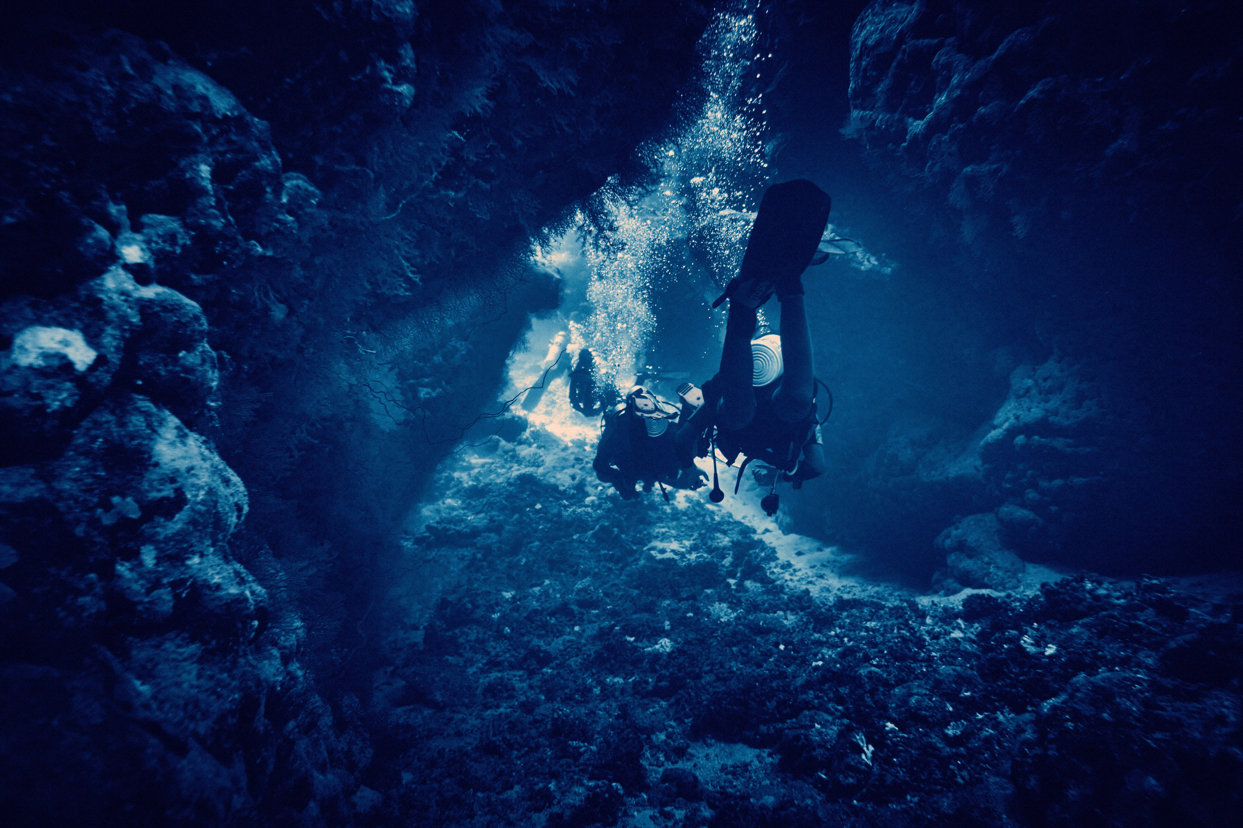 Podwodny fotograf - Andriej Szypilow - underwater photography. Tajemnica - wielka, głęboka i wszechobecna - to jest ta jakość, której przede wszystkim szukam w fotografii podwodnej...