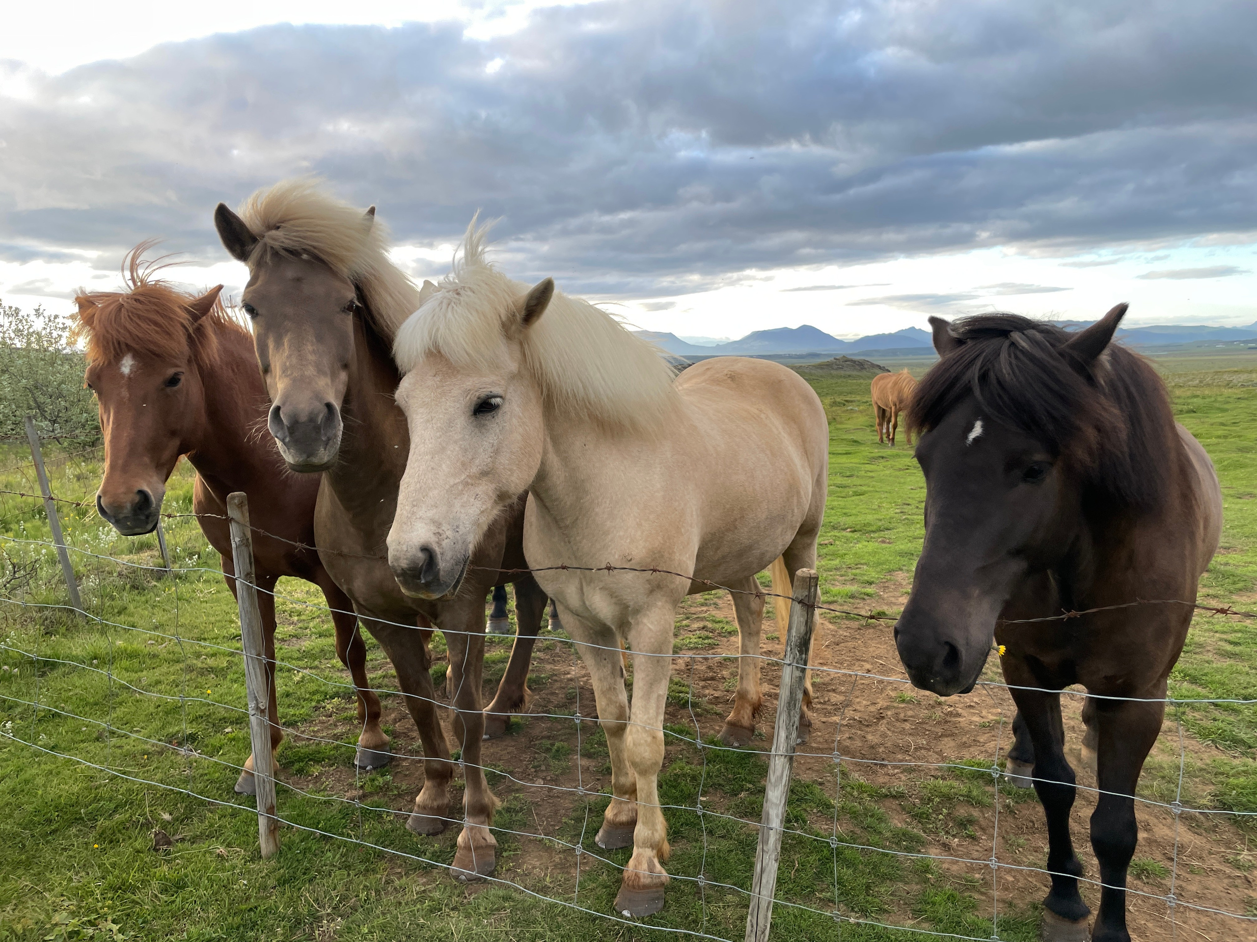 Mon voyage photo en Islande. Eugénie Smirnova — Photographe à Toulouse et dans le Sud-Ouest