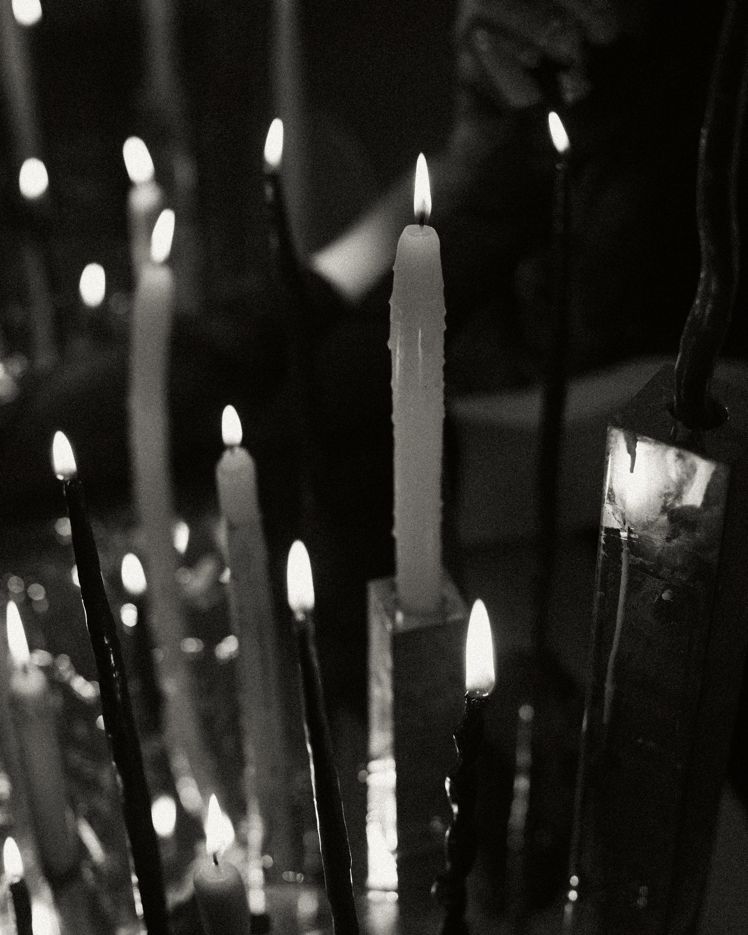 Splendida Luce - brand identity. Aura Studio / co-design space