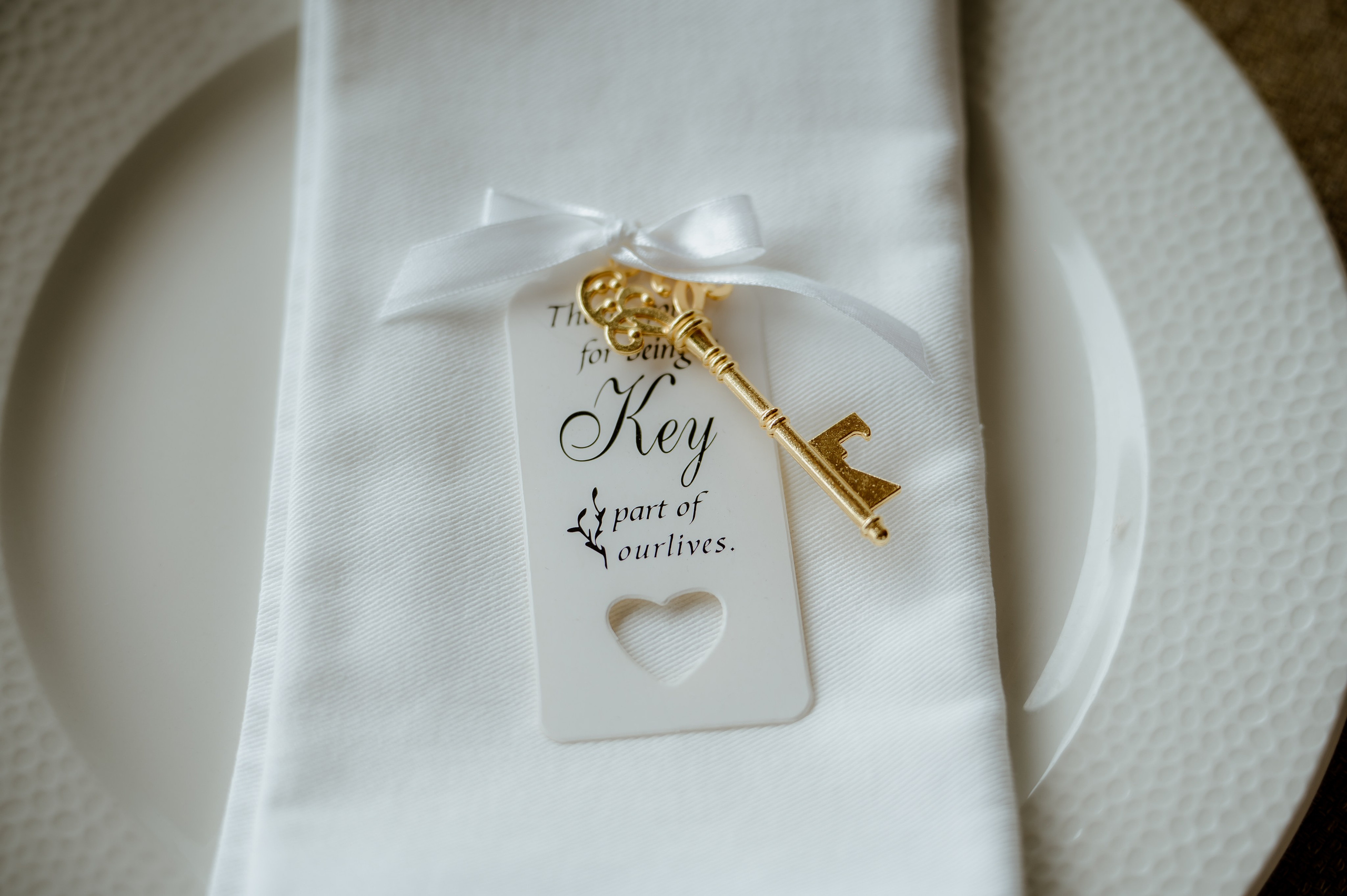 Fotografisanje vencanja. Bojana Žuža fotograf u Beogradu 📷 Belgrade photographer