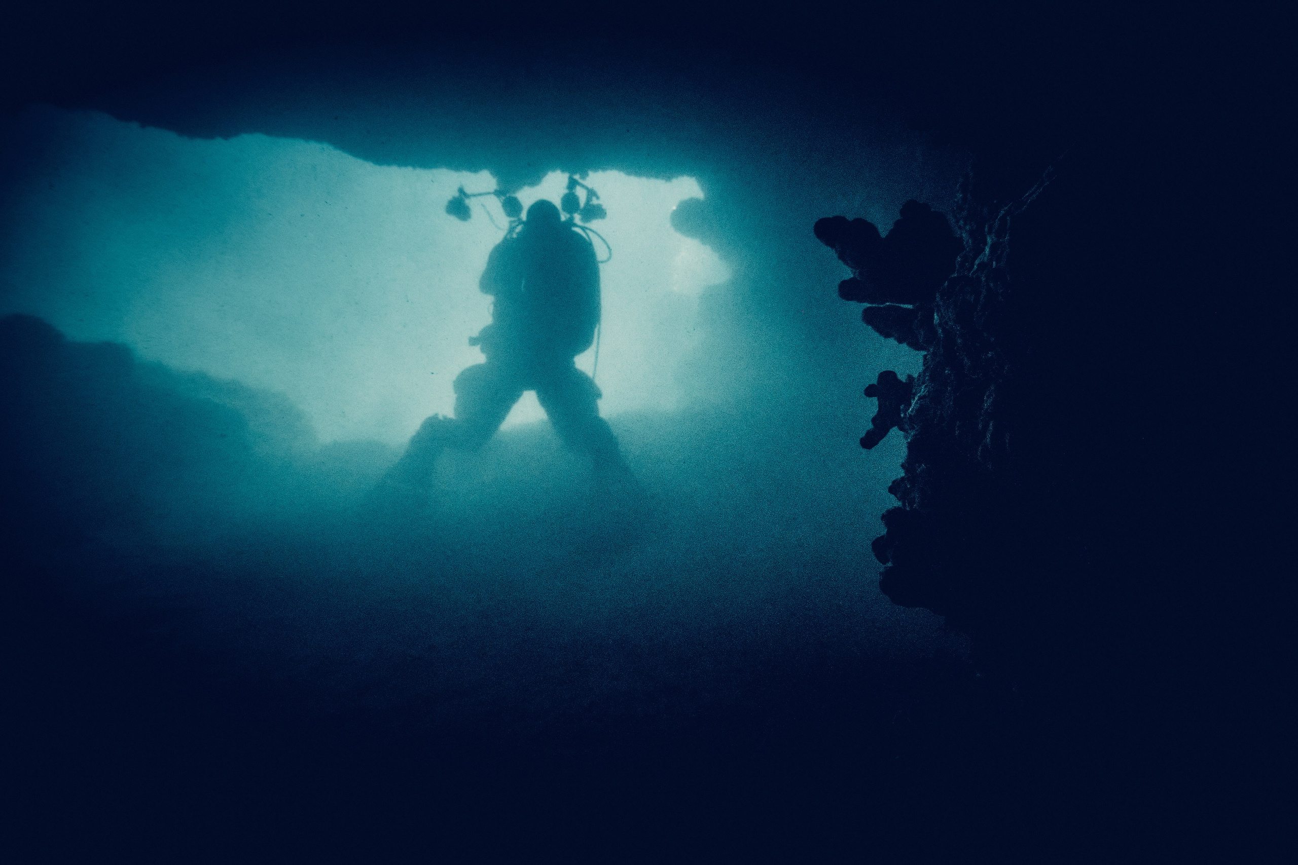 Podwodny fotograf - Andriej Szypilow - underwater photography. Tajemnica - wielka, głęboka i wszechobecna - to jest ta jakość, której przede wszystkim szukam w fotografii podwodnej...