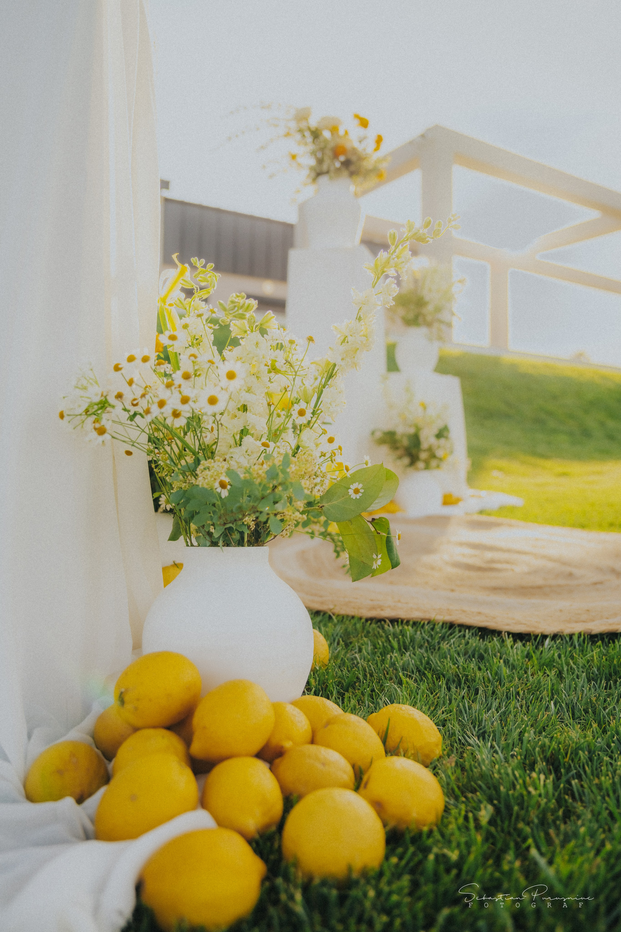 Love & Lemons. Sebastian Purusniuc Fotograf - Iasi