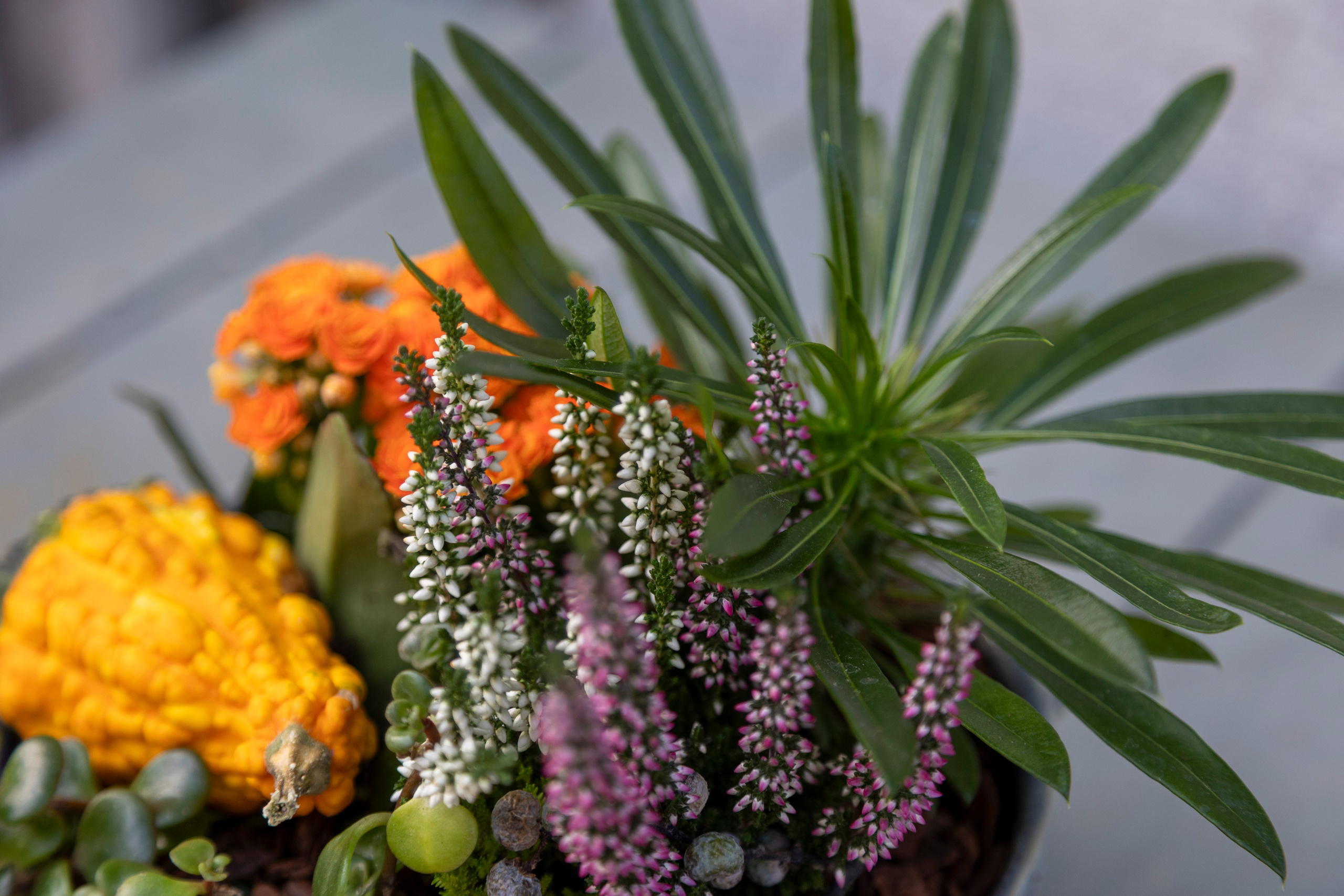 Gavekurve i Aarhus. Akropolis Blomster | Din døgn blomsterbutik i Aarhus