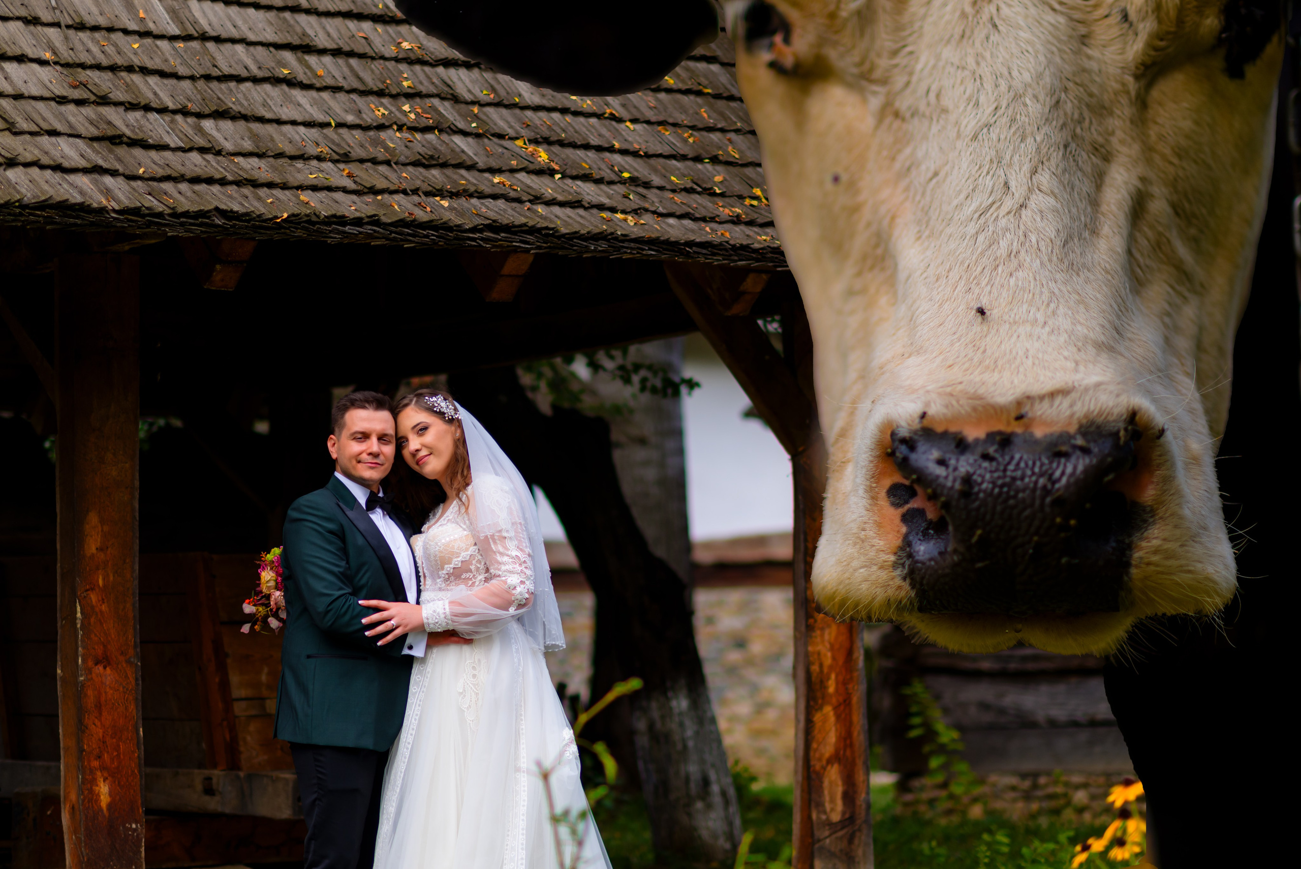 Galerie foto. Cătălin Lazăr Photography — Fotografie de nuntă și evenimente premium în România și Europa