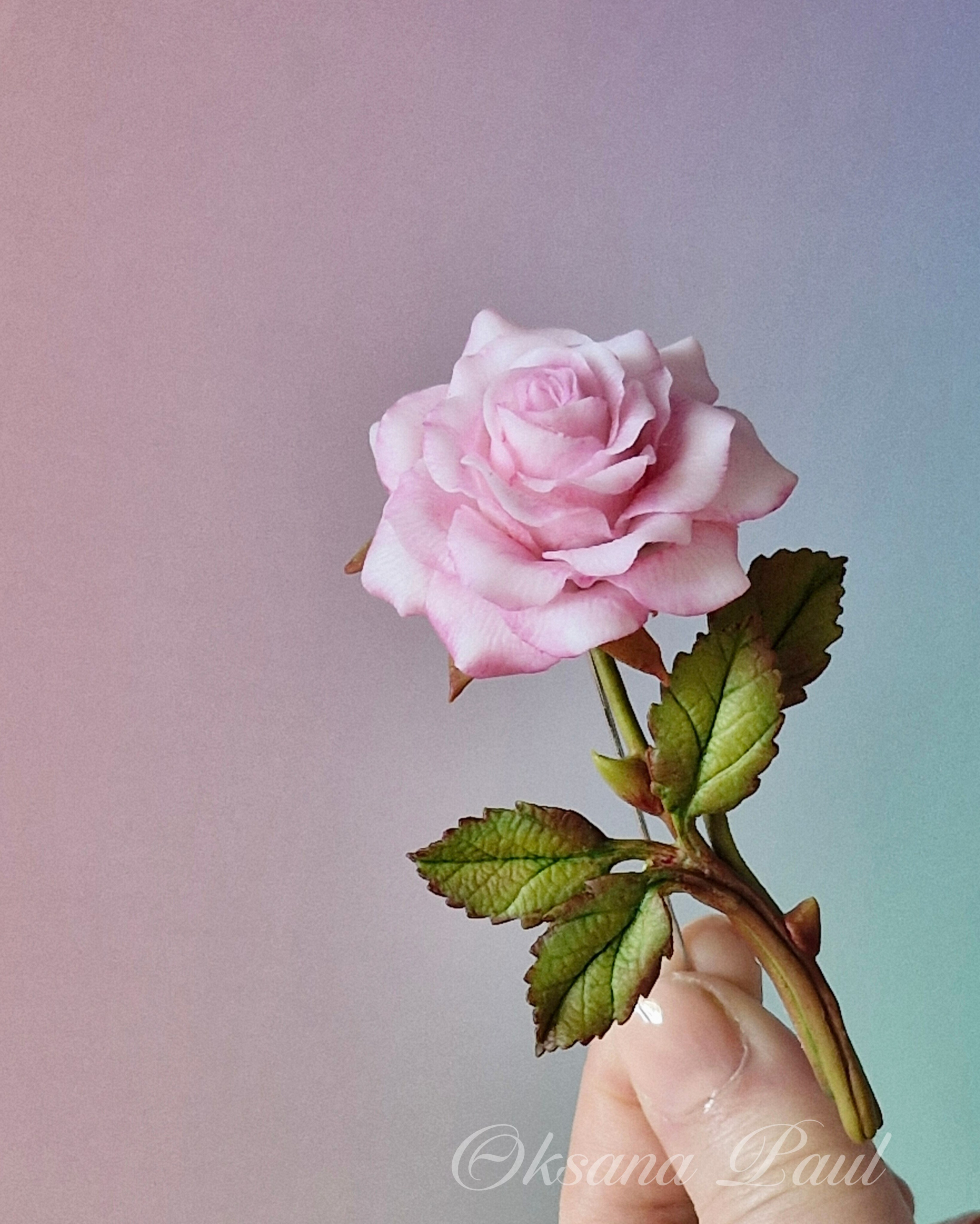 Броши с цветами / Blumen-Broschen ➜. Oksana Paul-Gardinen-Design Oksana Paul ✧ Art of Gardinen & Textile Design ✧ Polymer Clay Art & Handmade Creatures