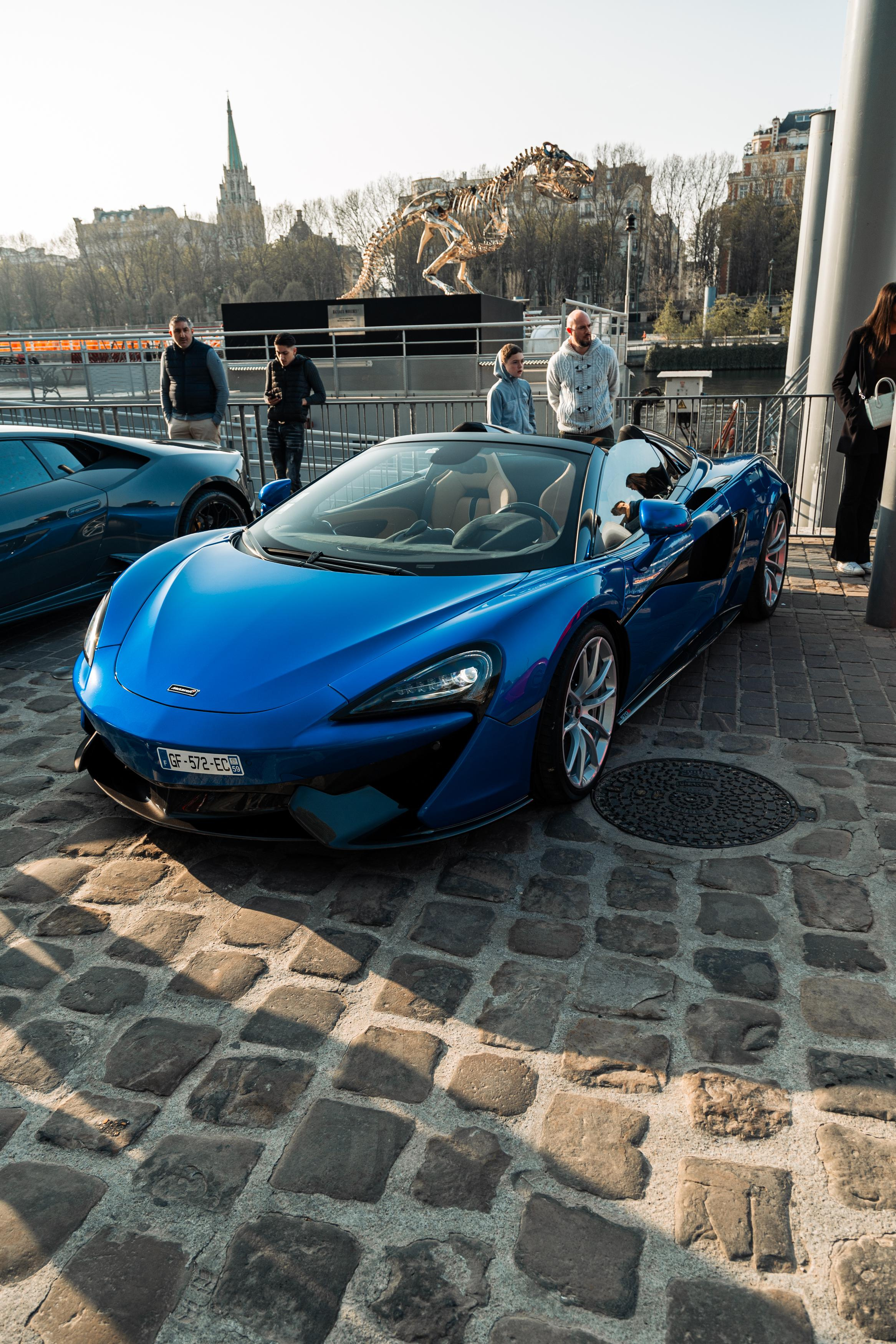 Bateau Mouche 27 mars. Photographer in Paris — Vitalii Motruk