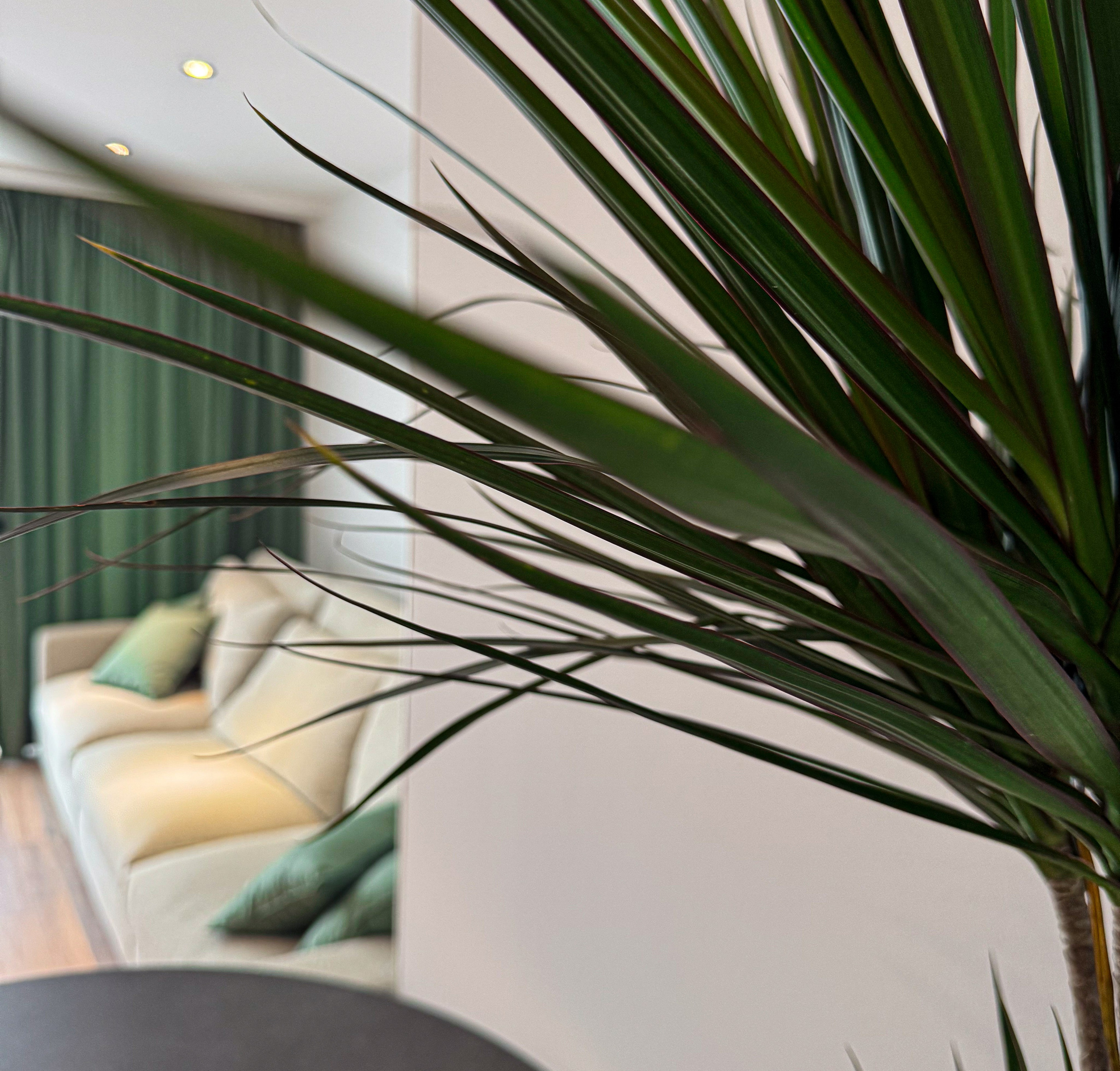 Hotelfotografie Portfolio Hotel & Airbnb Photography Immobilienfotografie Portfolio. Fotografin Kati Rebling