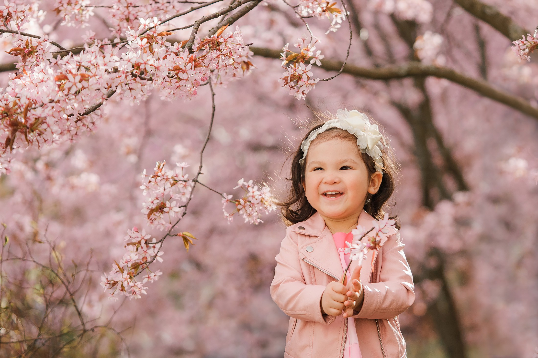 Kuvaukset kirsikkapuistossa