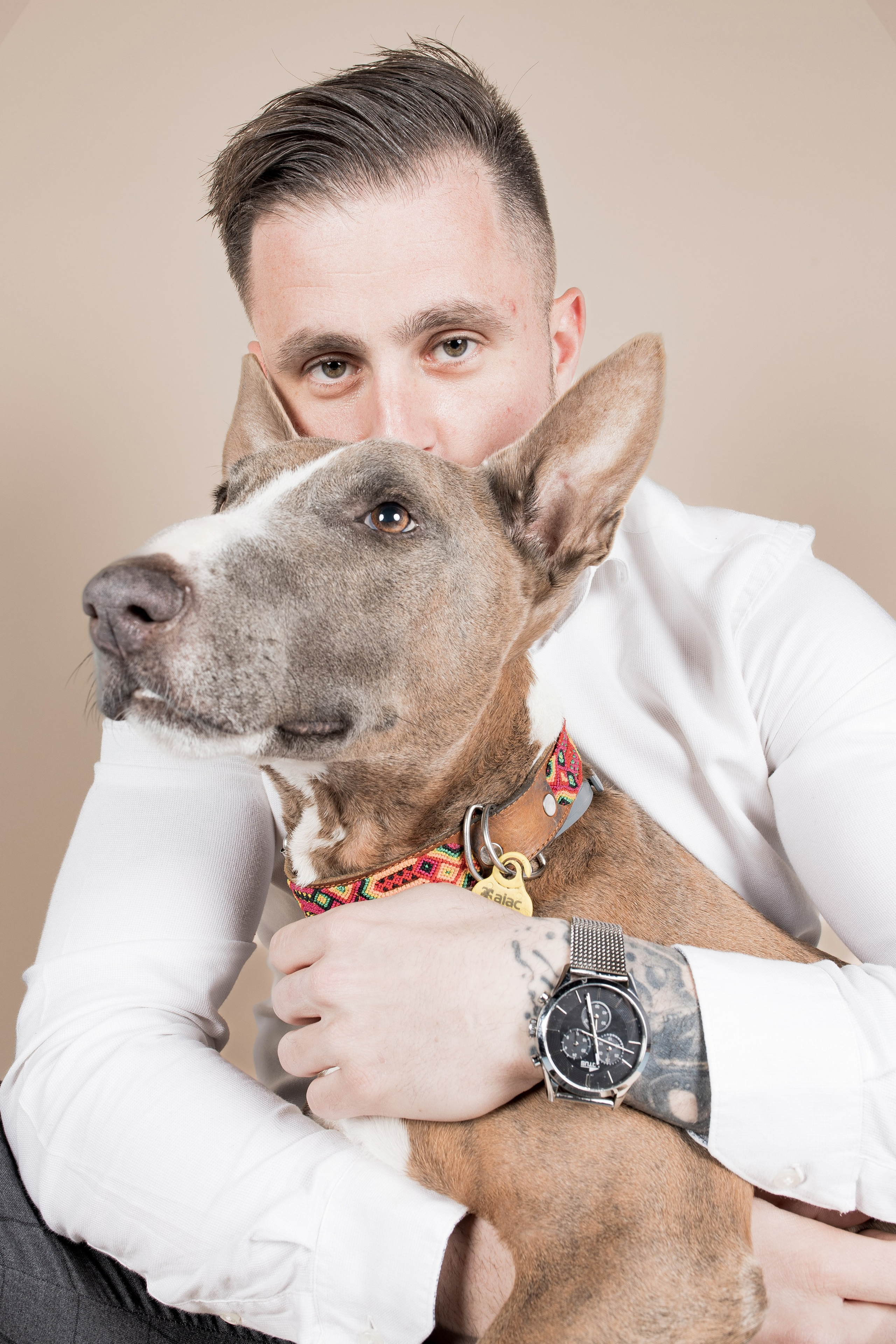 Fotografía de Mascotas en Madrid - Rainbox. Rainbox Estudio de Fotografía