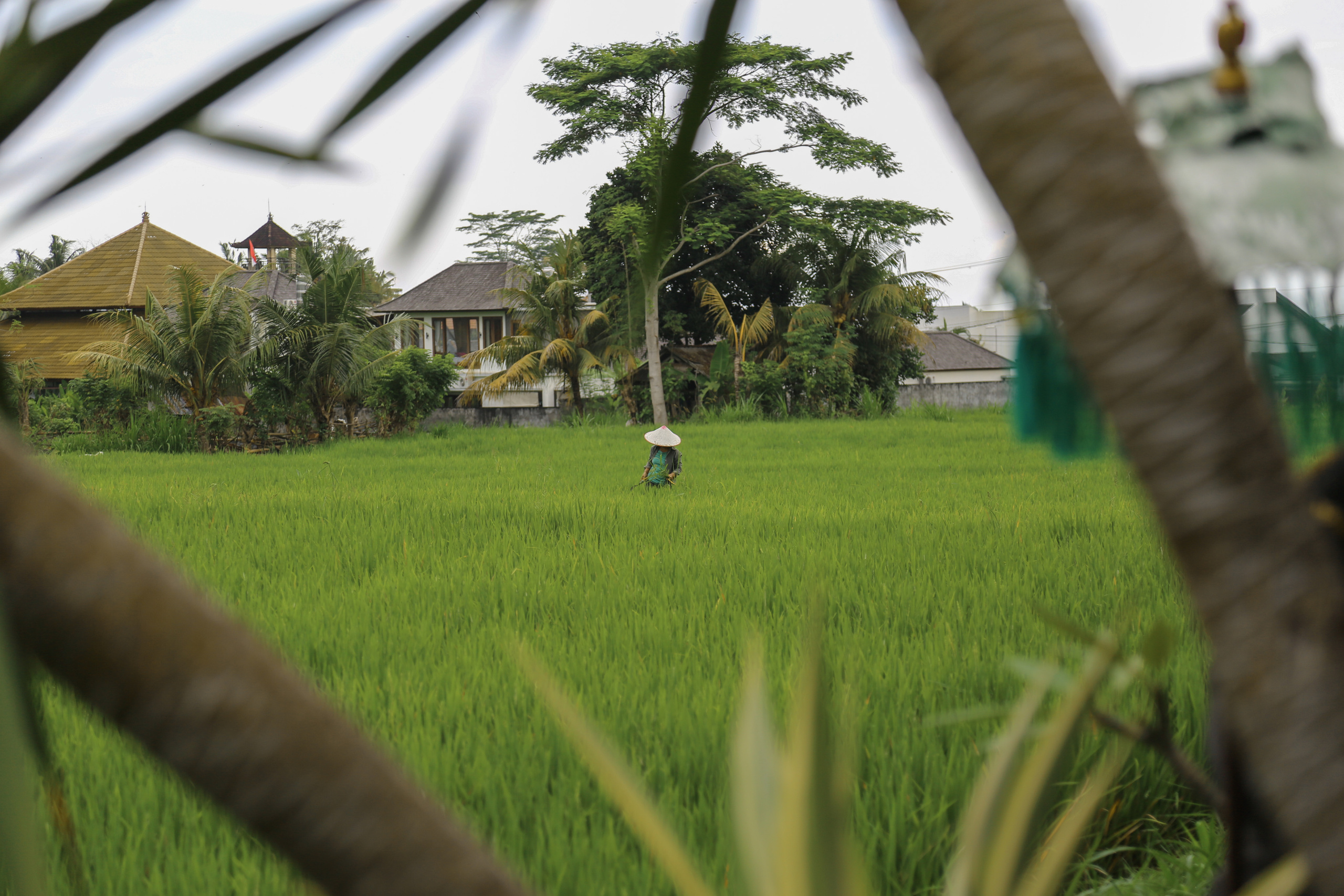 About Me. Photographer in Milan |Mila Pro Photo