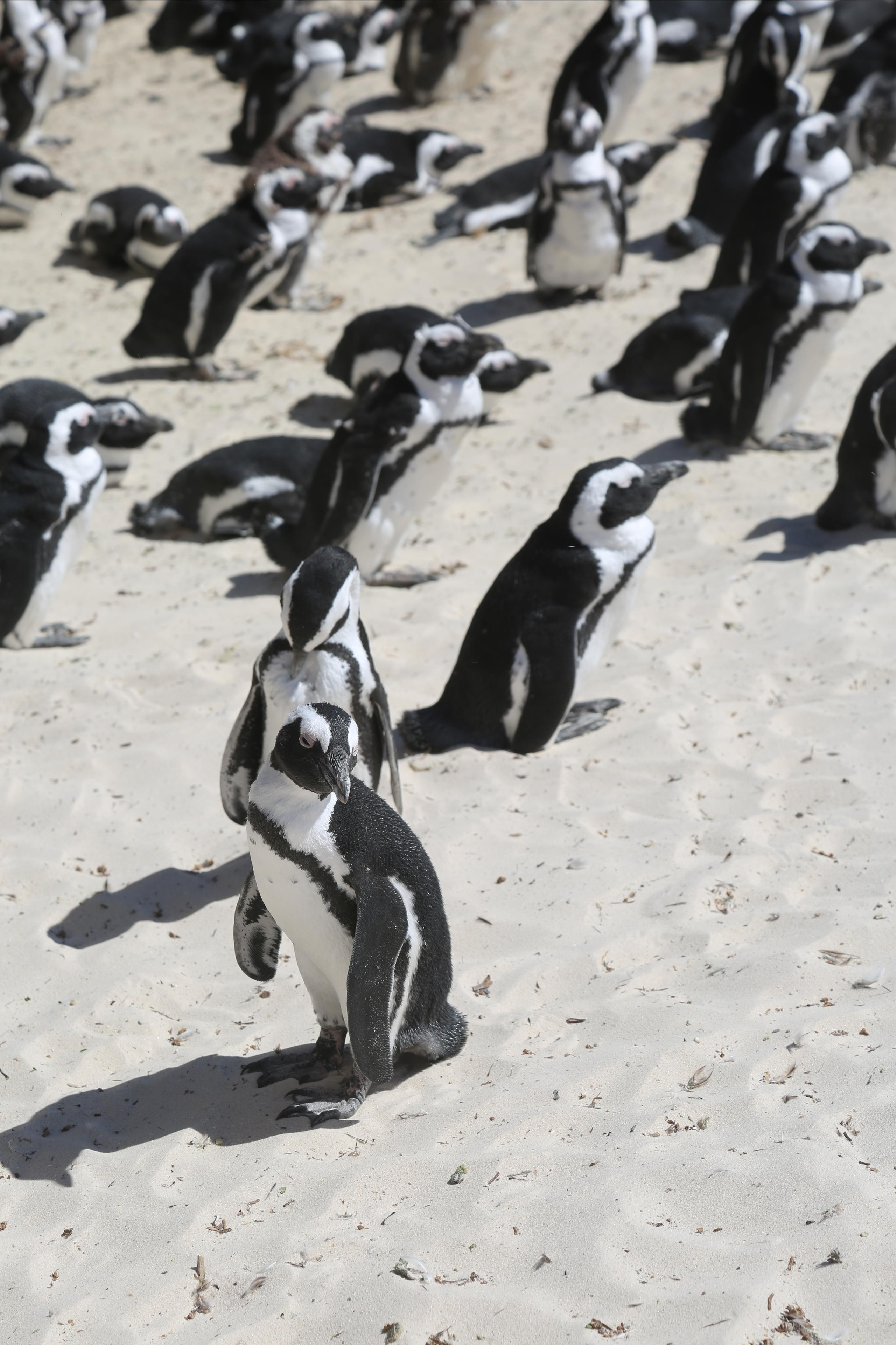 About Me. Photographer in Milan |Mila Pro Photo