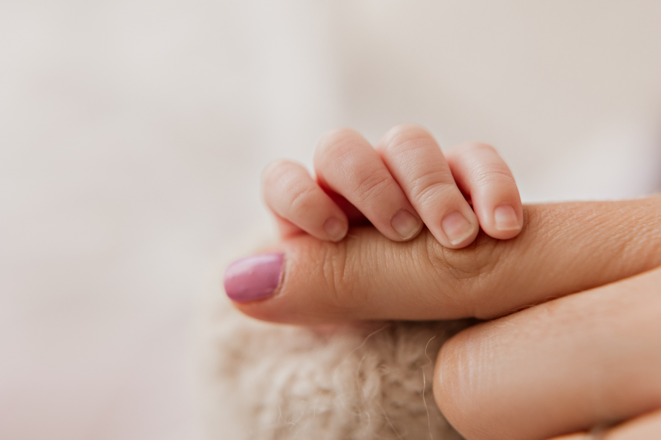 Newborn. Anna Levina Photography