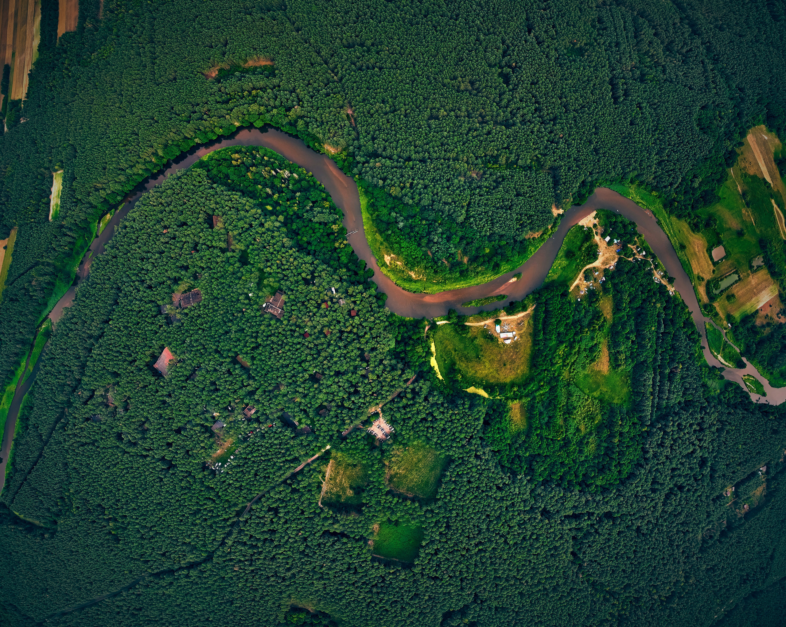 Organic Festival 2024. Andriej Szypilow — Photography & Videography