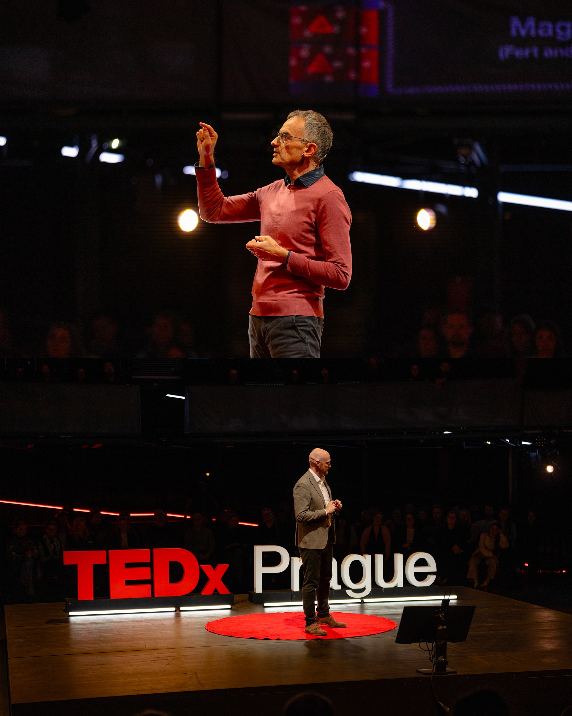 Eventová fotografie. Dana Lišková — Empatická fotografka | Introspektivní umělkyně | Neurodivergentní koučka| Zakladatelka Artepy.cz