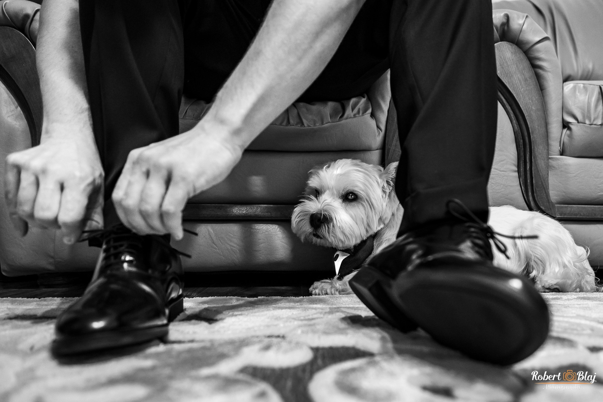 Robert Blaj - Fotograf Nuntă Iași