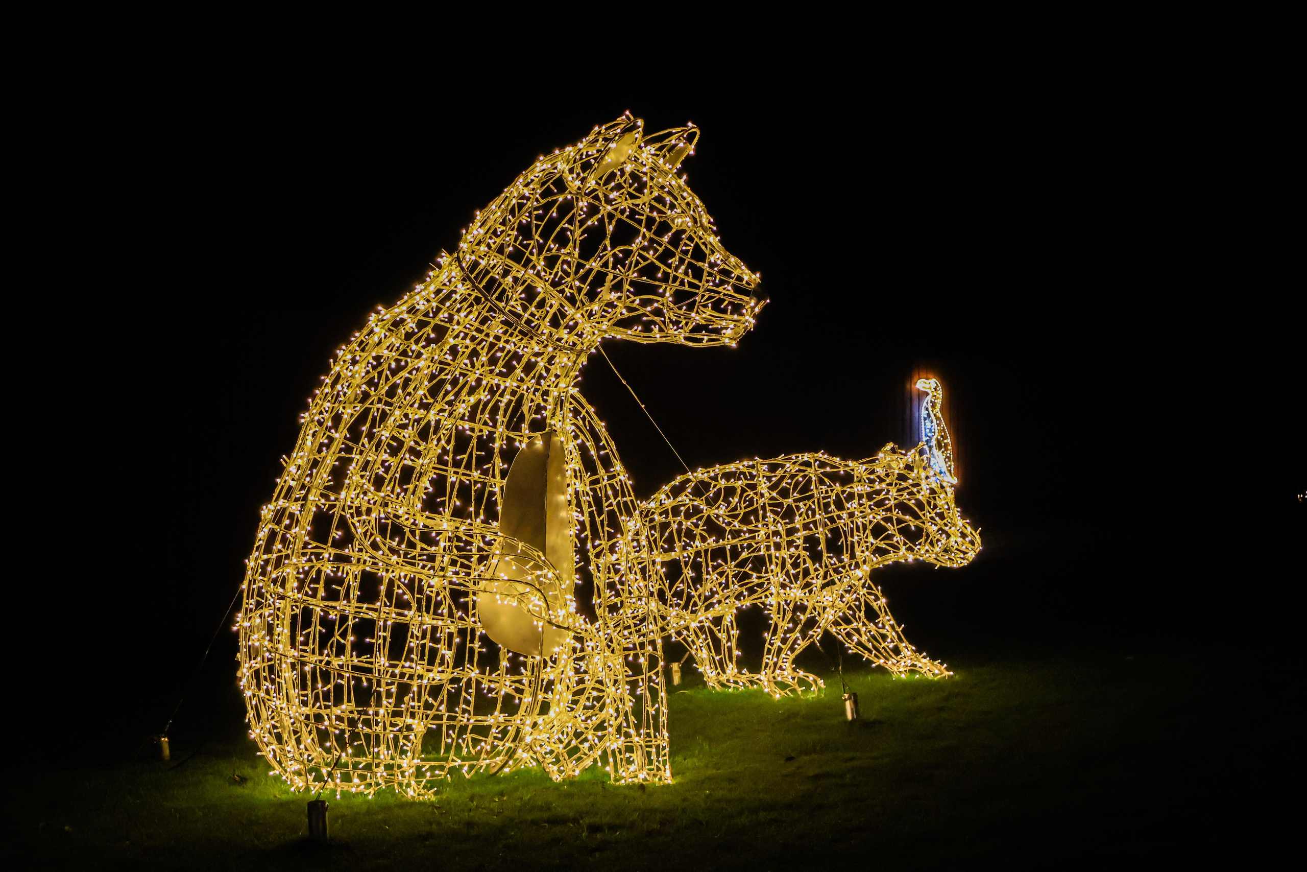 Adventure Lights at SkyPark. Create with Twila