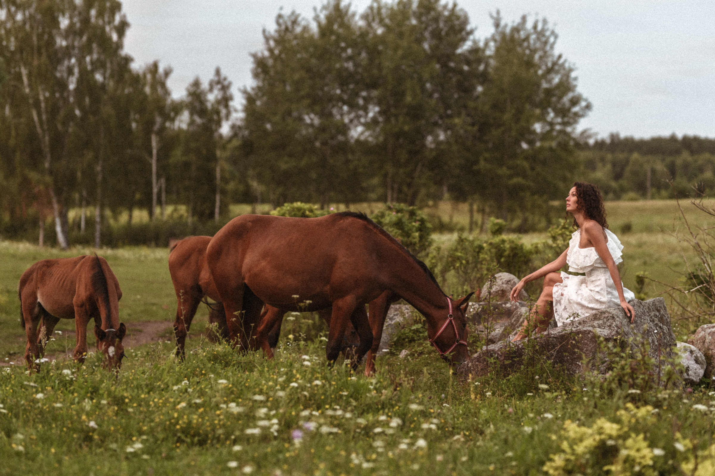 Natürliche Weiblichkeit im besonderen Licht Norddeutschlands – ob urbanes Hamburg, historisches Lübeck oder die Weite der Küste. Jedes Porträt erzählt eine eigene Geschichte