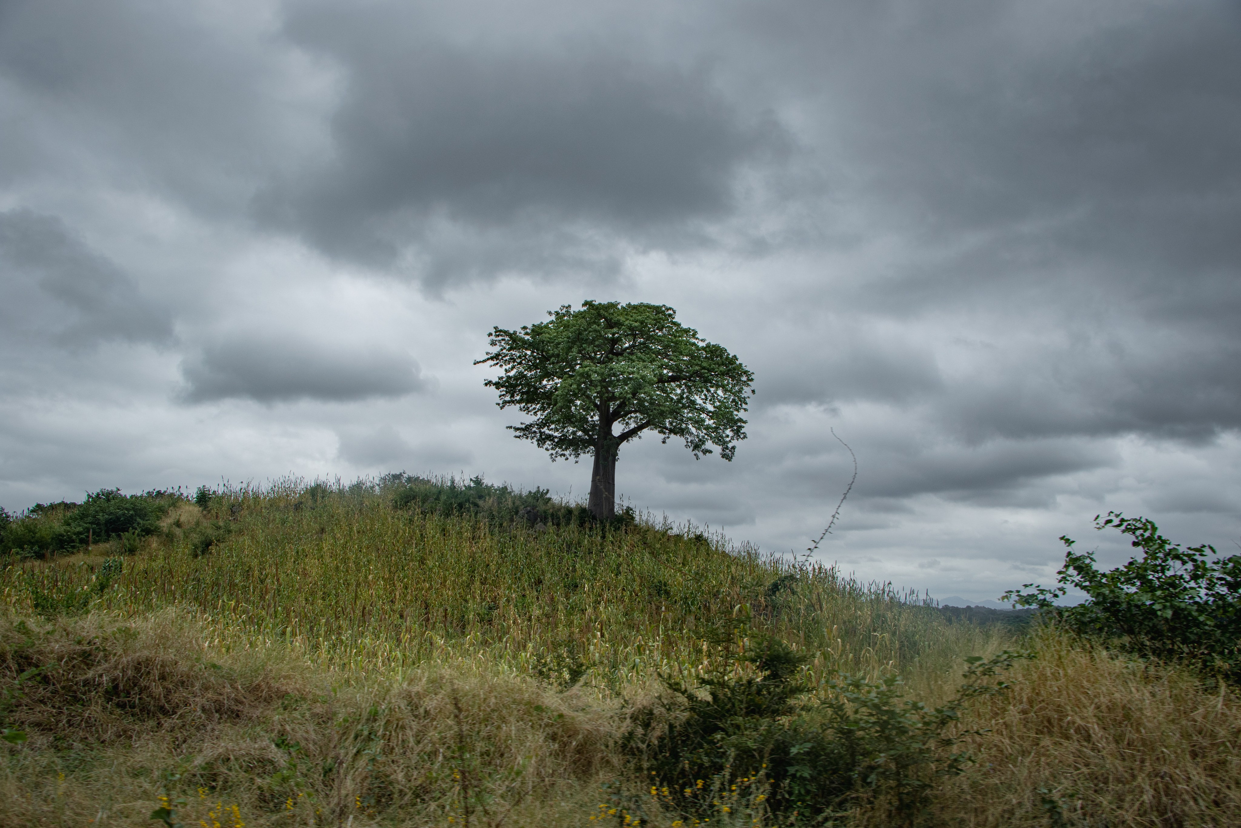 Mozambique. Photo reporter français basé à Paris