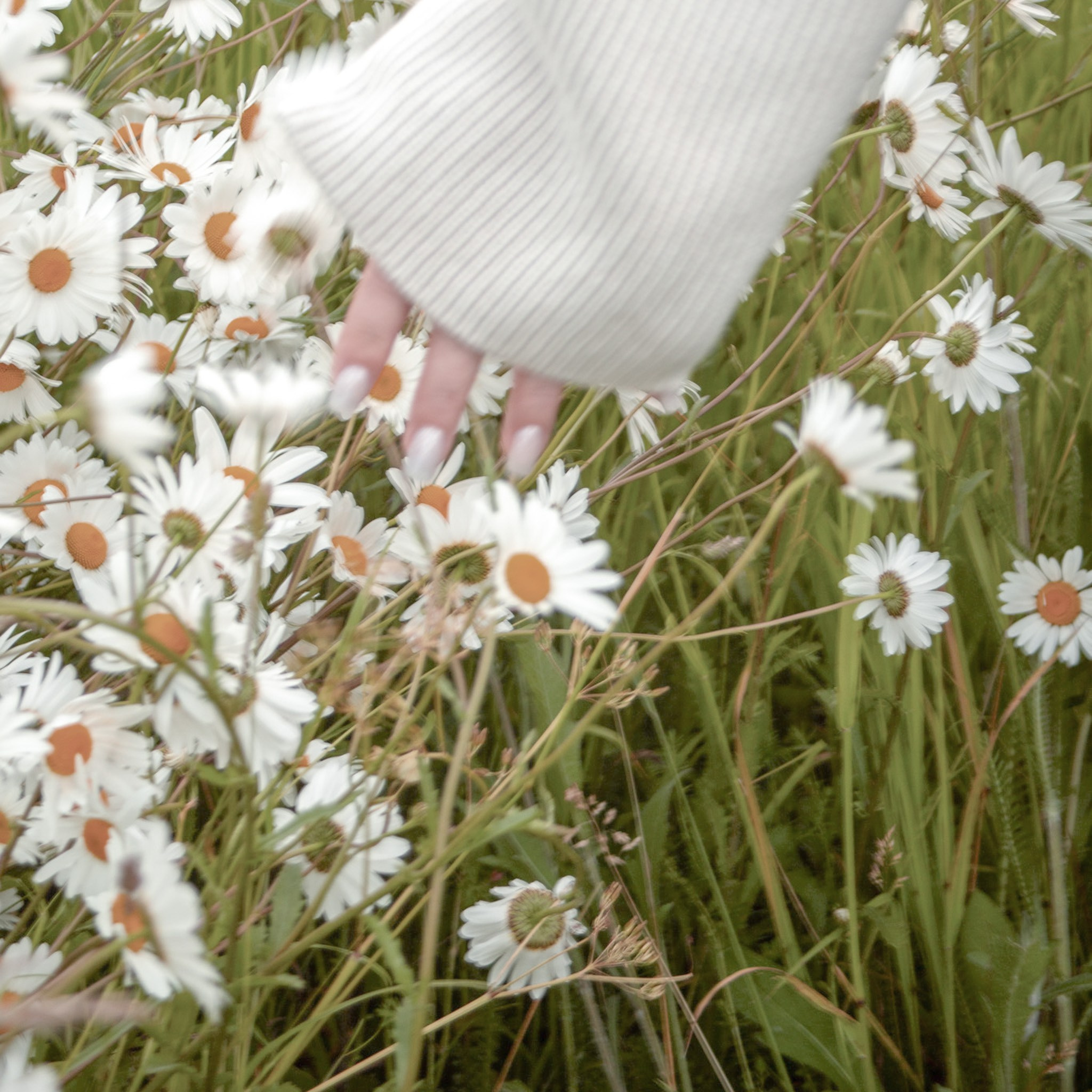 In Harmony with Nature. Natalja Poplavska — Visual artist, Photographer, East Sussex, London