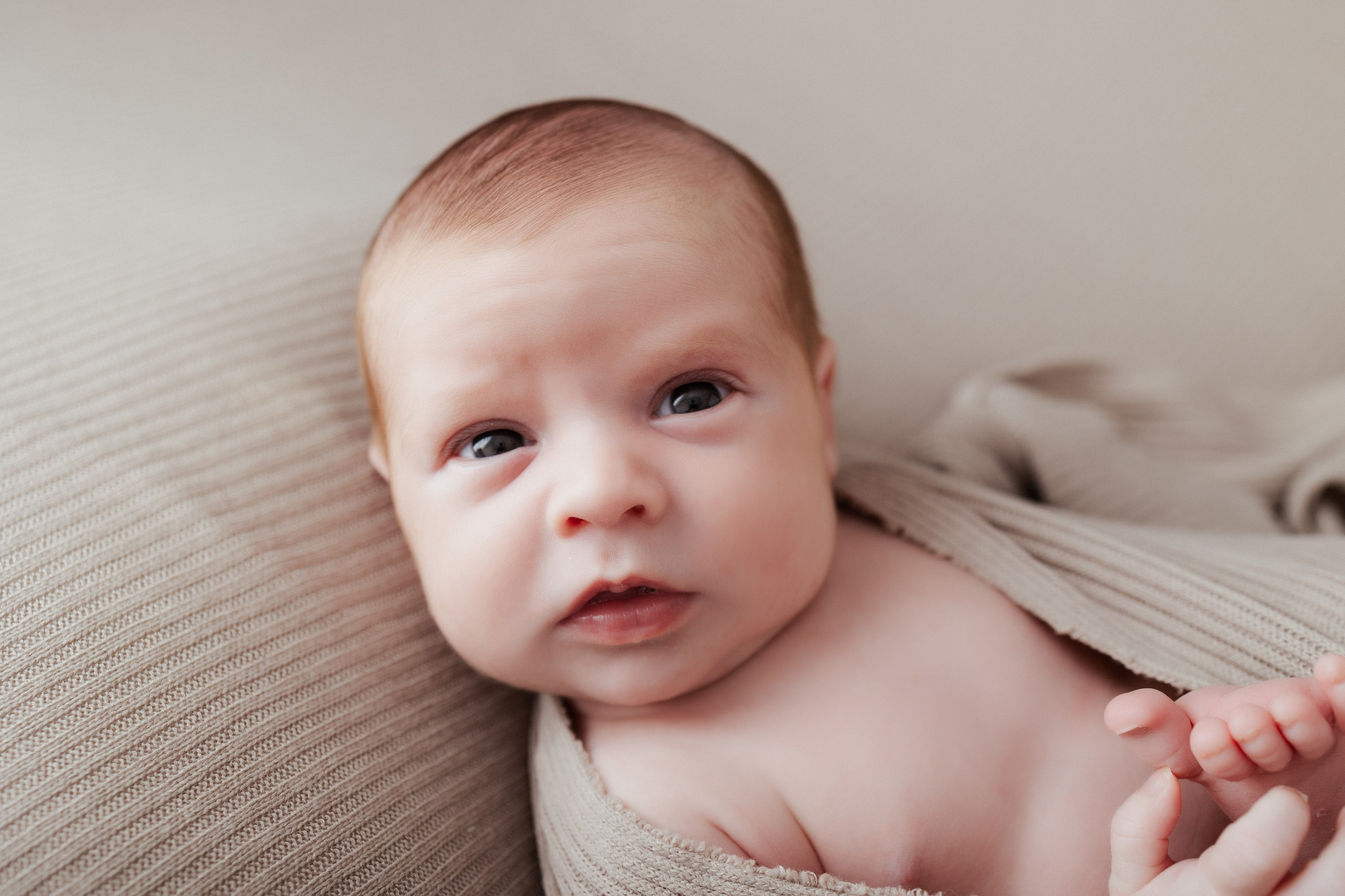 Leo, Mis Primeros Días