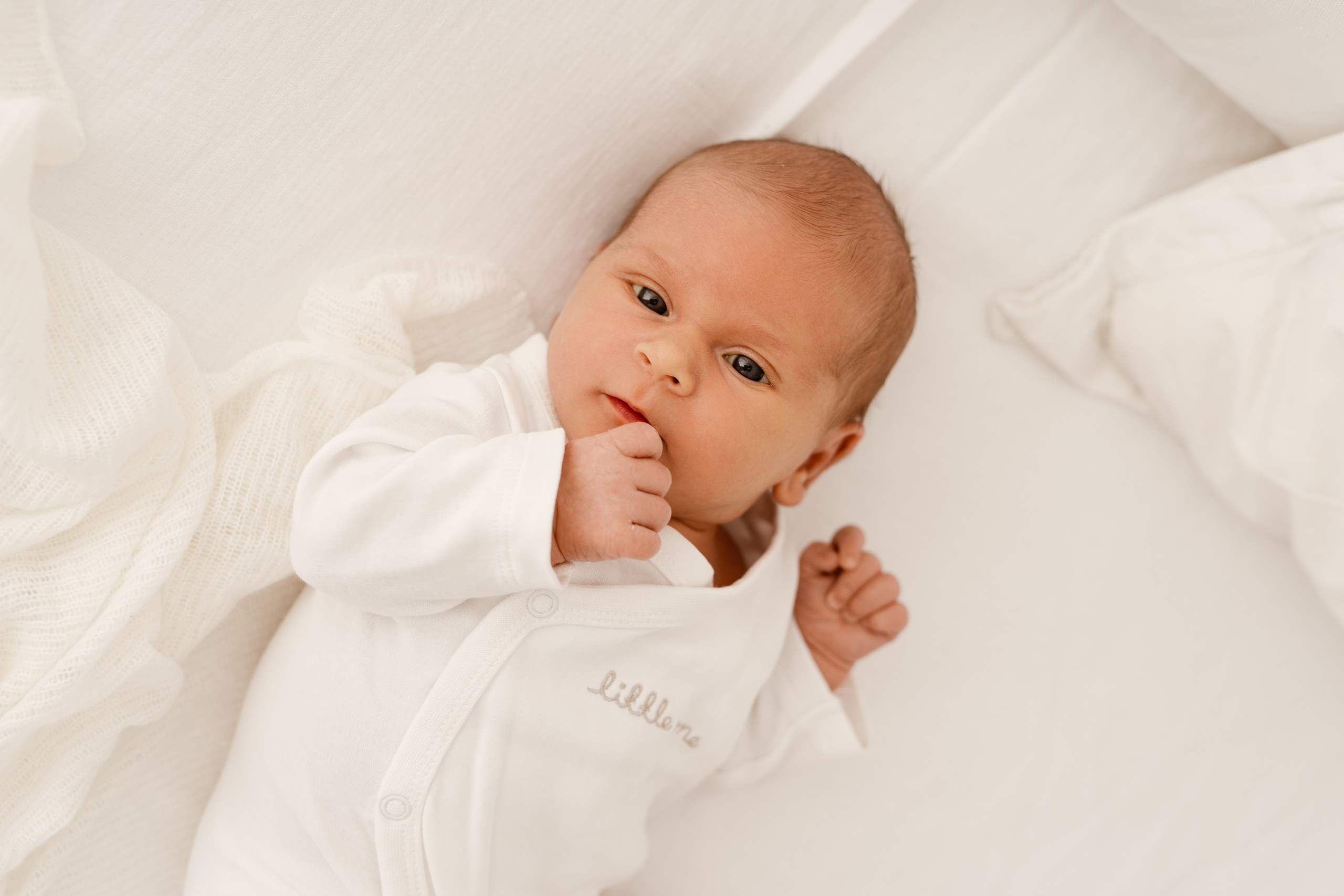 Pierwsza sesja Amelki. Fotograf Łódź - sesja ciążowa, noworodkowa, dziecięca. Studio w Łodzi