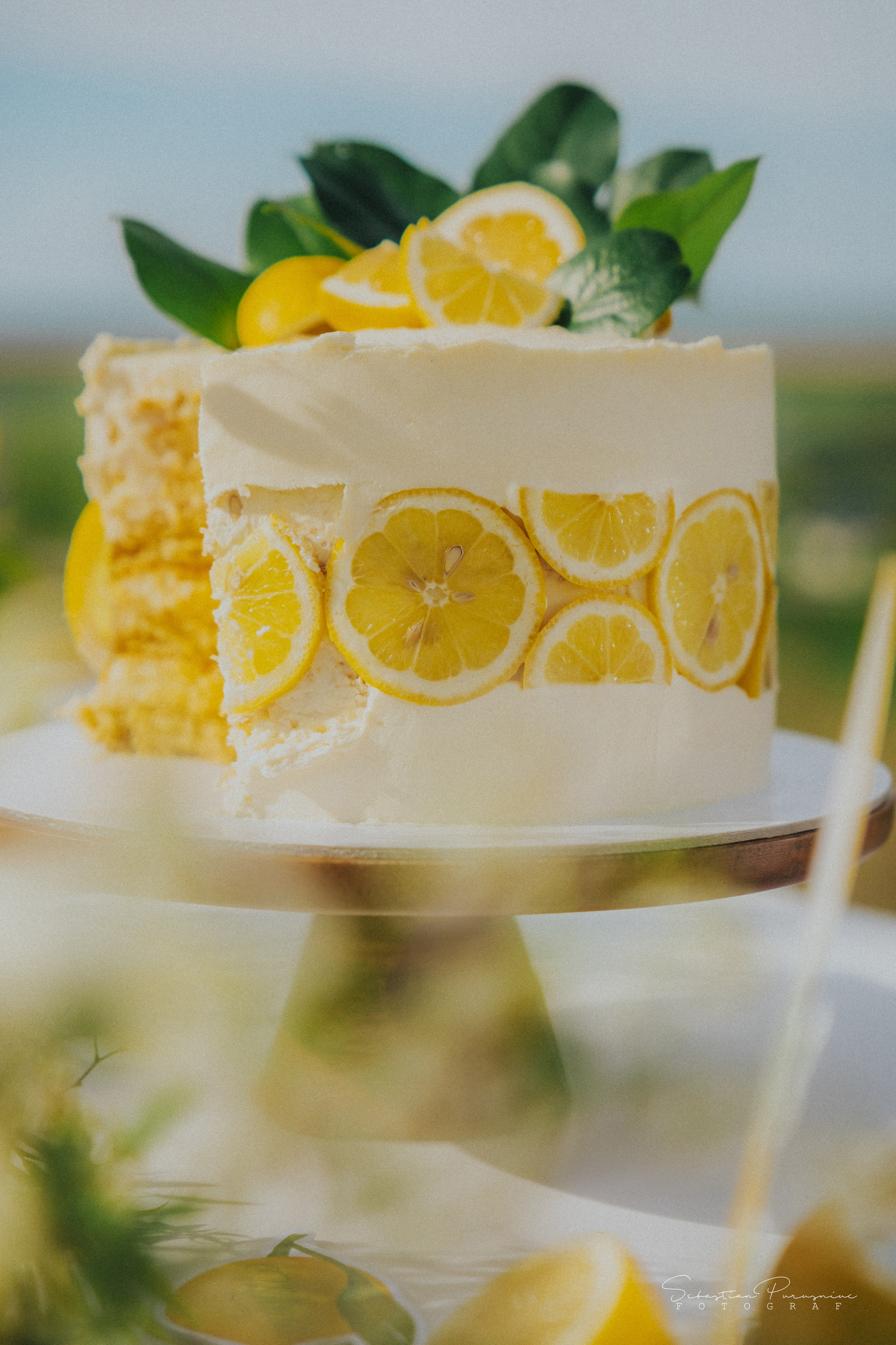 Love & Lemons. Sebastian Purusniuc Fotograf - Iasi